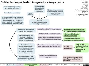 culebrilla-herpes-zoster-patogenesis-y-hallazgos-clinicos