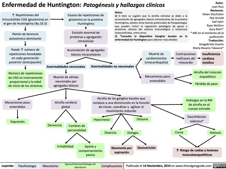 Enfermedad de Huntington: Patogénesis y hallazgos clínicos | Calgary Guide