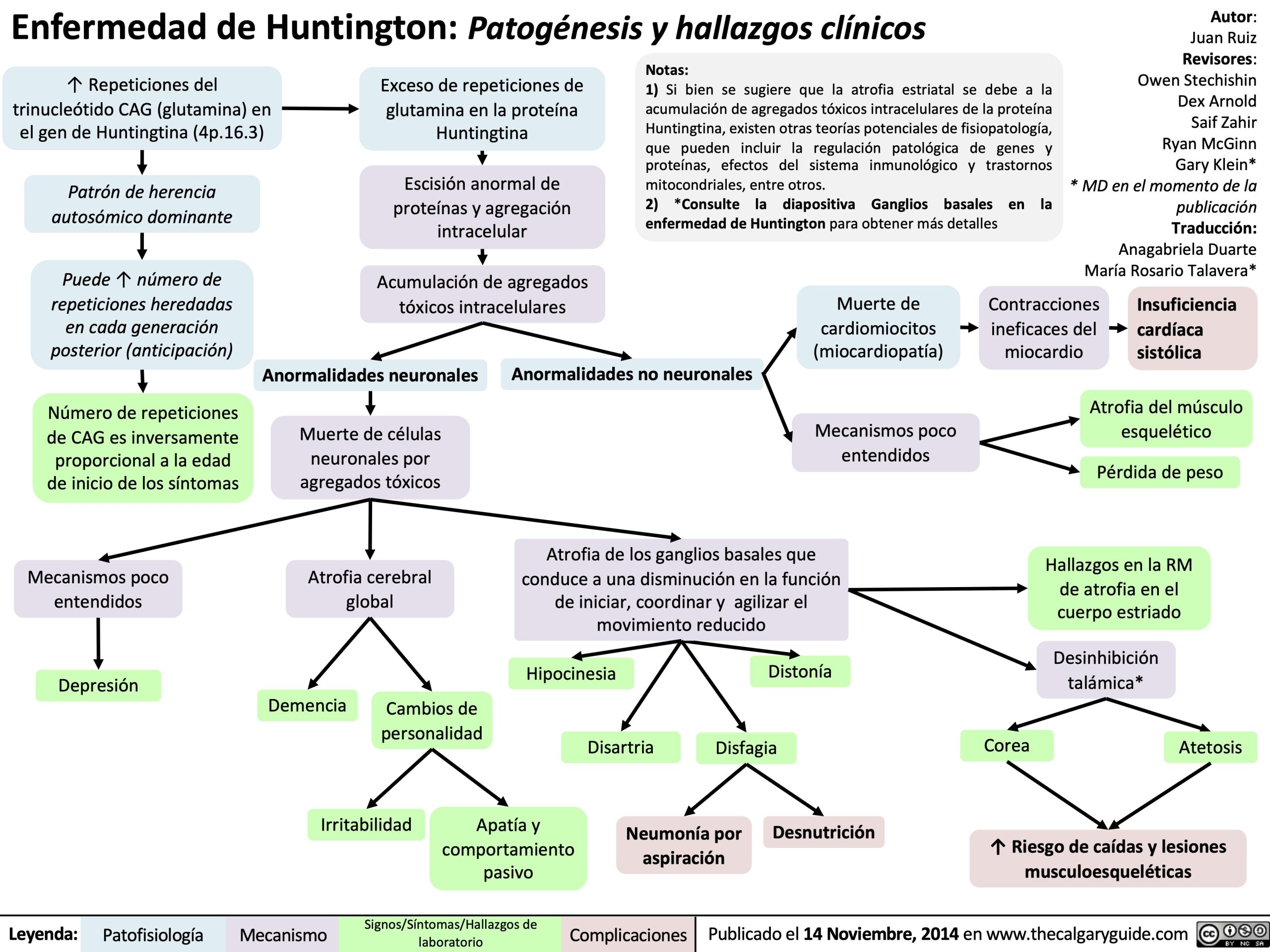 enfermedad-de-huntington-patogenesis-y-hallazgos-clinicos