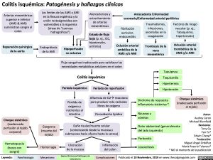 colitis-isquemica-patogenesis-y-hallazgos-clinicos
