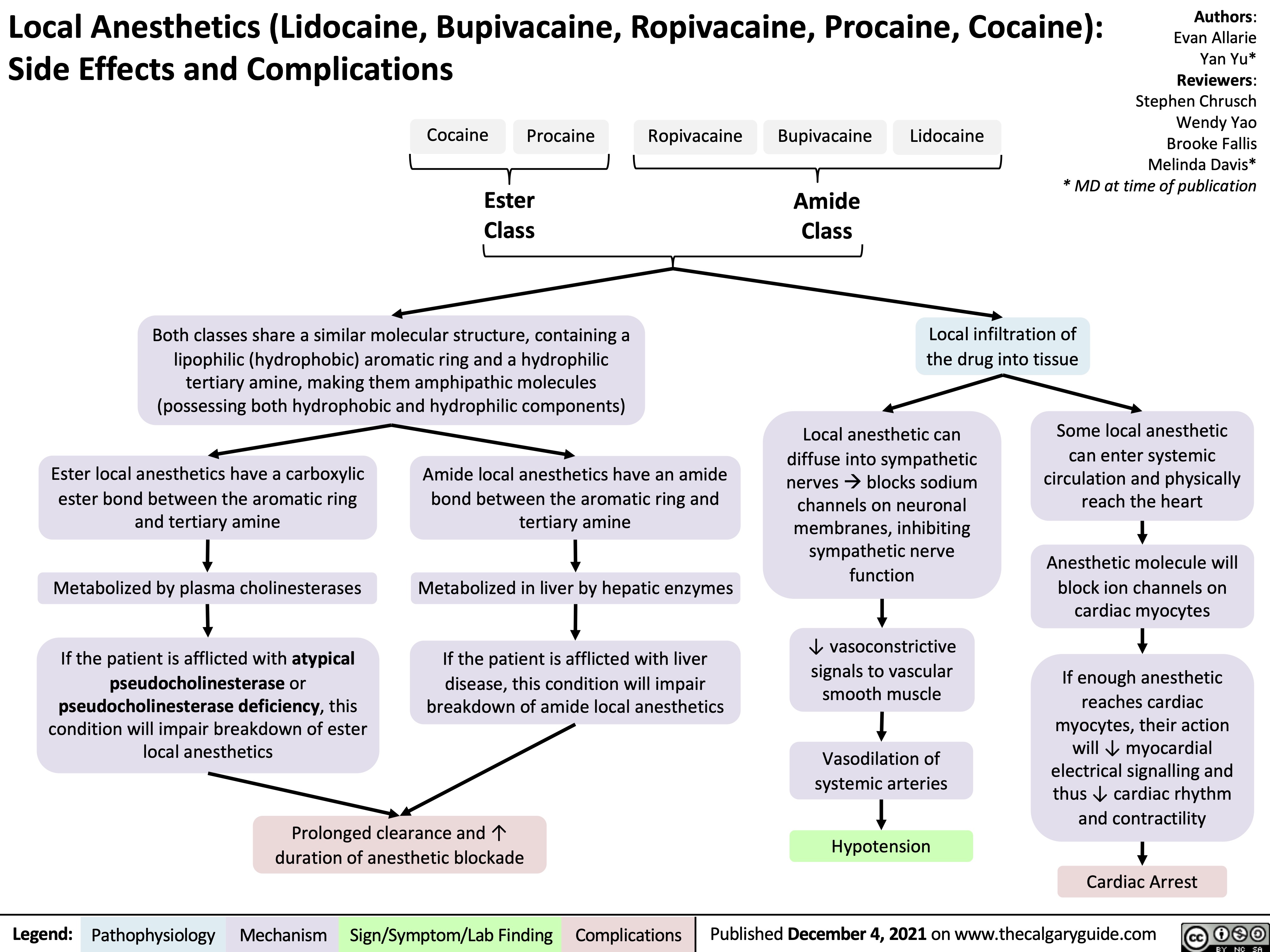 Local Anesthetics (Lidocaine, Bupivacaine, Ropivacaine, Procaine, Cocaine): Side Effects and Complications
     Cocaine
Procaine
Ropivacaine
Bupivacaine
Amide Class
Lidocaine
Authors: Evan Allarie Yan Yu* Reviewers: Stephen Chrusch Wendy Yao Brooke Fallis Melinda Davis* * MD at time of publication
  Ester Class
Both classes share a similar molecular structure, containing a lipophilic (hydrophobic) aromatic ring and a hydrophilic tertiary amine, making them amphipathic molecules (possessing both hydrophobic and hydrophilic components)
Local infiltration of the drug into tissue
            Ester local anesthetics have a carboxylic ester bond between the aromatic ring and tertiary amine
Metabolized by plasma cholinesterases If the patient is afflicted with atypical
pseudocholinesterase or pseudocholinesterase deficiency, this condition will impair breakdown of ester local anesthetics
Amide local anesthetics have an amide bond between the aromatic ring and tertiary amine
Metabolized in liver by hepatic enzymes
If the patient is afflicted with liver disease, this condition will impair breakdown of amide local anesthetics
Local anesthetic can diffuse into sympathetic nervesàblocks sodium channels on neuronal membranes, inhibiting sympathetic nerve function
↓ vasoconstrictive signals to vascular smooth muscle
Vasodilation of systemic arteries
Hypotension
Some local anesthetic can enter systemic circulation and physically reach the heart
Anesthetic molecule will block ion channels on cardiac myocytes
If enough anesthetic reaches cardiac myocytes, their action will ↓ myocardial electrical signalling and thus ↓ cardiac rhythm and contractility
           Prolonged clearance and ↑ duration of anesthetic blockade
  Cardiac Arrest
 Legend:
 Pathophysiology
Mechanism
Sign/Symptom/Lab Finding
 Complications
Published December 4, 2021 on www.thecalgaryguide.com
    