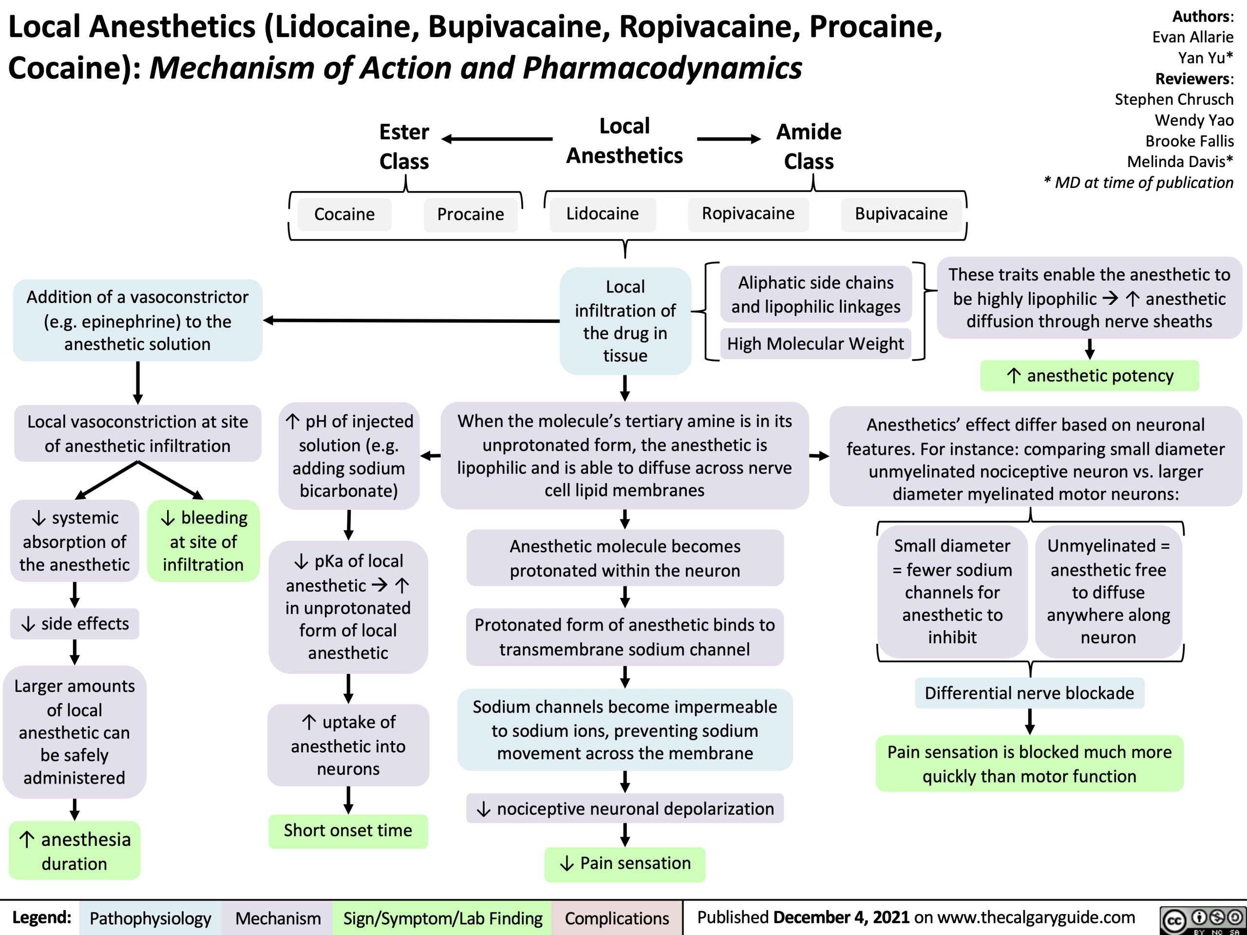 local-anesthetics-lidocaine-bupivacaine-ropivacaine-procaine-cocaine-mechanism-of-action-and-pharmacodynamics