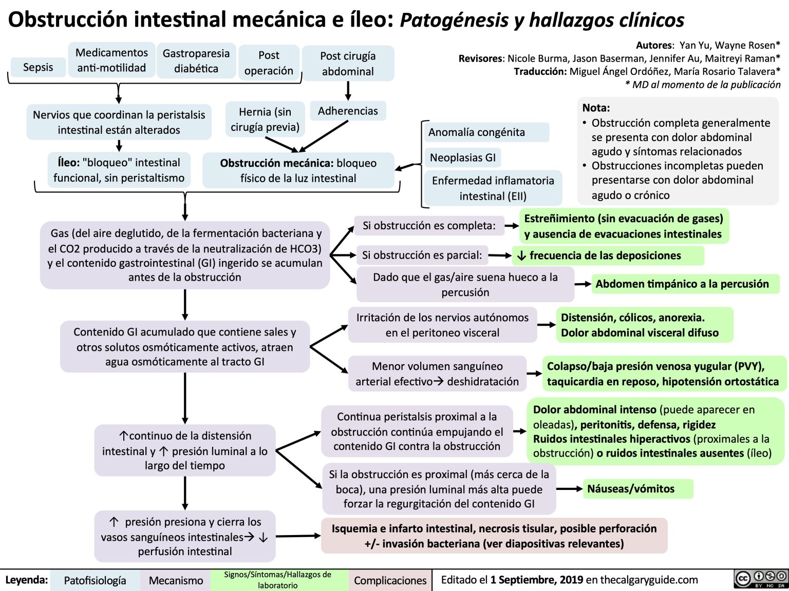 Obstrucción intestinal mecánica e íleo: Patogénesis y hallazgos ...