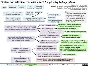 obstruccion-intestinal-mecanica-e-ileo-patogenesis-y-hallazgos-clinicos