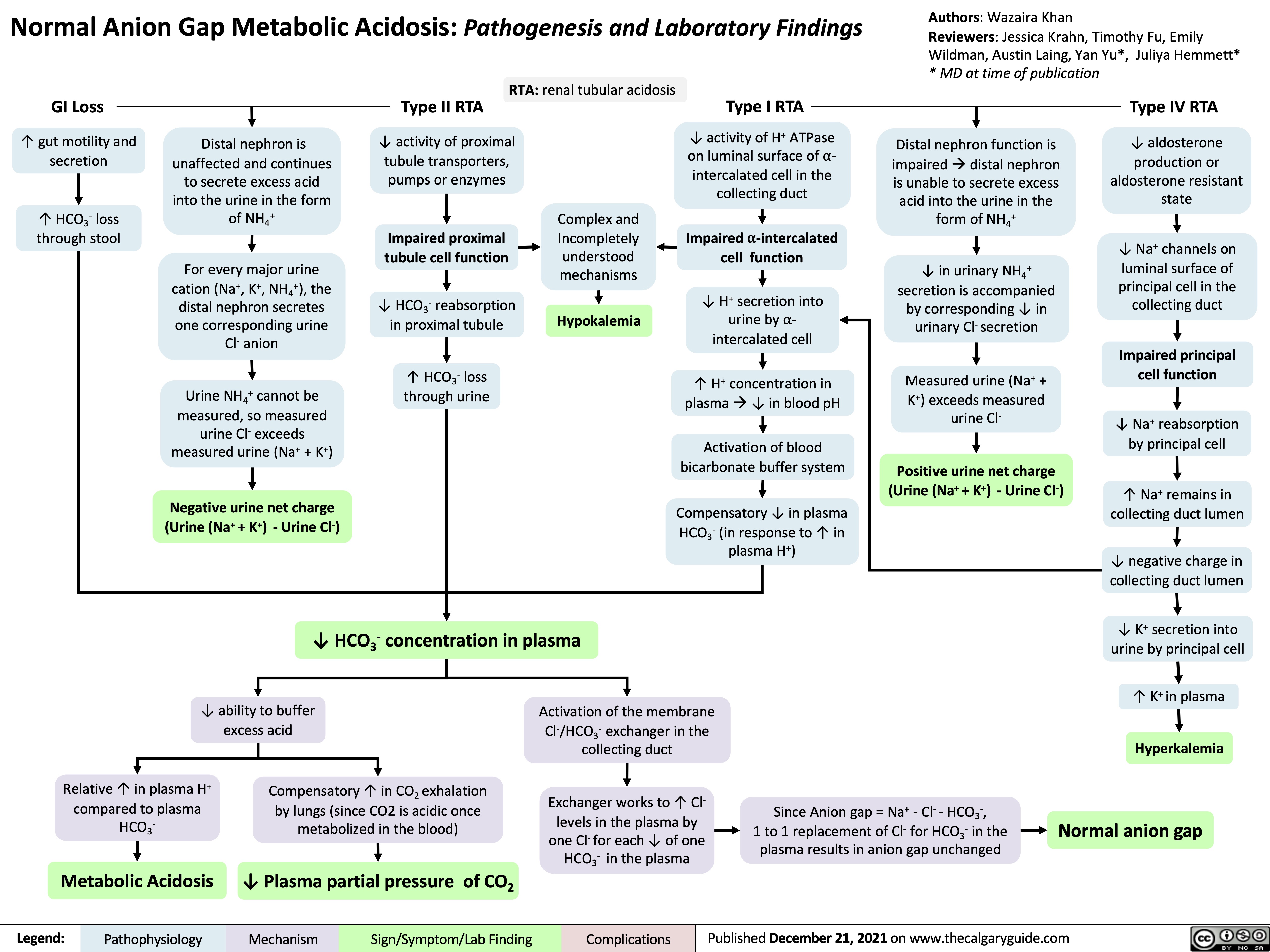 Normal Anion Gap Metabolic Acidosis: Pathogenesis and Laboratory Findings
Authors: Wazaira Khan
Reviewers: Jessica Krahn, Timothy Fu, Emily Wildman, Austin Laing, Yan Yu*, Juliya Hemmett* * MD at time of publication
     GI Loss
↑ gut motility and secretion
↑ HCO3- loss through stool
Distal nephron is unaffected and continues to secrete excess acid into the urine in the form of NH4+
For every major urine cation (Na+, K+, NH4+), the distal nephron secretes one corresponding urine Cl- anion
Urine NH4+ cannot be measured, so measured
urine Cl- exceeds measured urine (Na+ + K+)
Negative urine net charge (Urine (Na+ + K+) - Urine Cl-)
Type II RTA RTA: renal tubular acidosis ↓ activity of proximal
Type I RTA
↓ activity of H+ ATPase on luminal surface of ⍺- intercalated cell in the collecting duct
Impaired ⍺-intercalated cell function
↓ H+ secretion into urine by ⍺- intercalated cell
↑ H+ concentration in plasmaà↓ in blood pH
Activation of blood bicarbonate buffer system
Compensatory ↓ in plasma HCO3- (in response to ↑ in plasma H+)
Type IV RTA
↓ aldosterone production or aldosterone resistant state
↓ Na+ channels on luminal surface of principal cell in the collecting duct
Impaired principal cell function
↓ Na+ reabsorption by principal cell
↑ Na+ remains in collecting duct lumen
↓ negative charge in collecting duct lumen
↓ K+ secretion into urine by principal cell
↑ K+ in plasma
Hyperkalemia
Normal anion gap
        tubule transporters, pumps or enzymes
Impaired proximal tubule cell function
reabsorption
Complex and Incompletely understood mechanisms
Hypokalemia
Distal nephron function is impairedàdistal nephron is unable to secrete excess acid into the urine in the form of NH4+
↓ in urinary NH + 4
secretion is accompanied by corresponding ↓ in urinary Cl- secretion
Measured urine (Na+ + K+) exceeds measured urine Cl-
Positive urine net charge (Urine (Na+ + K+) - Urine Cl-)
          ↓ HCO3
-
in proximal tubule
     ↑ HCO3- loss through urine
            ↓ HCO3- concentration in plasma
    Relative ↑ in plasma H+ compared to plasma HCO3-
Compensatory ↑ in CO2 exhalation by lungs (since CO2 is acidic once metabolized in the blood)
Since Anion gap = Na+ - Cl- - HCO3-,
1 to 1 replacement of Cl- for HCO - in the 3
plasma results in anion gap unchanged
↓ ability to buffer excess acid
Activation of the membrane Cl-/HCO3- exchanger in the collecting duct
Exchanger works to ↑ Cl- levels in the plasma by
one Cl- for each ↓ of one HCO3- in the plasma
         Metabolic Acidosis
↓ Plasma partial pressure of CO2
 Legend:
 Pathophysiology
Mechanism
Sign/Symptom/Lab Finding
 Complications
 Published December 21, 2021 on www.thecalgaryguide.com
   