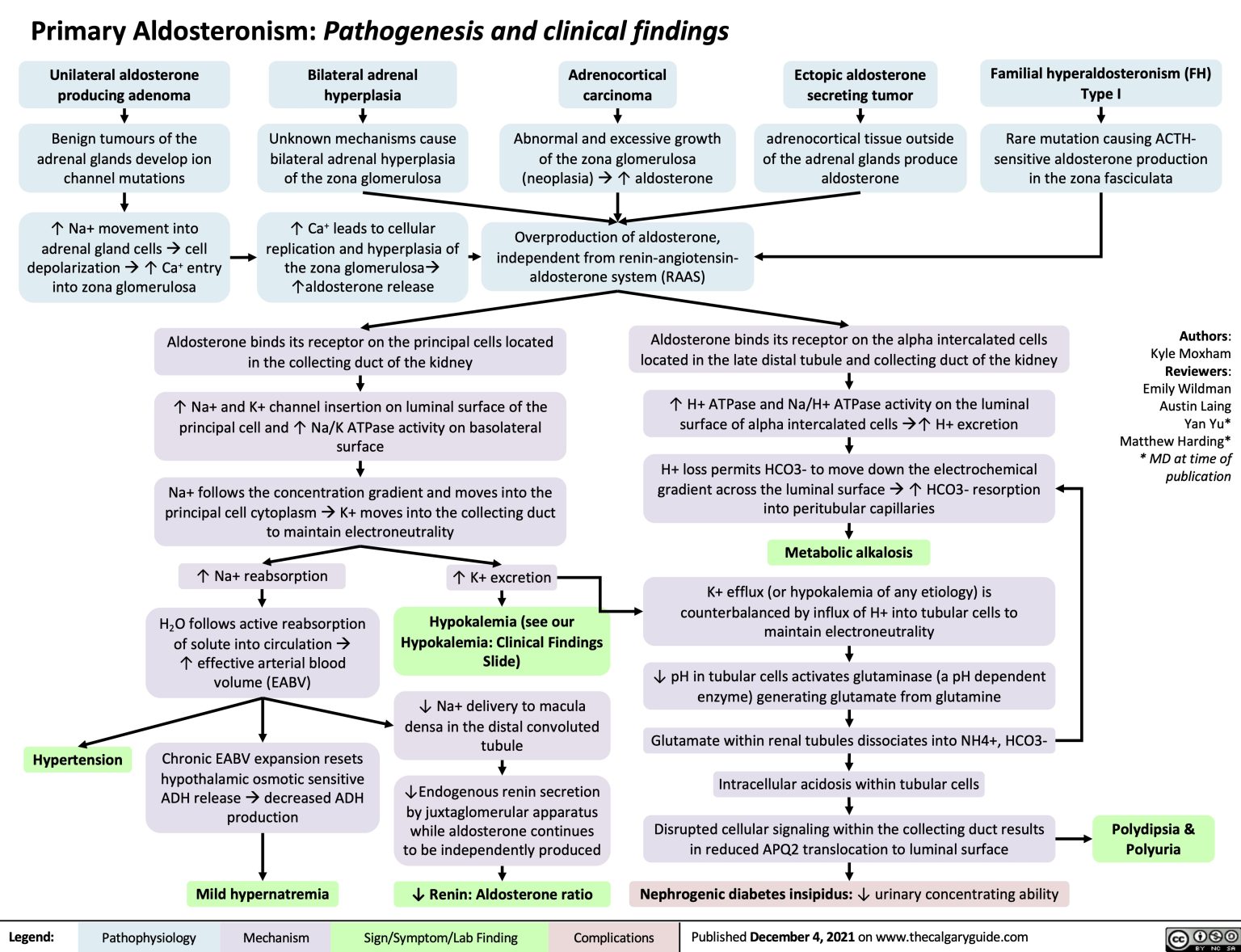 Primary Aldosteronism Pathogenesis | Calgary Guide