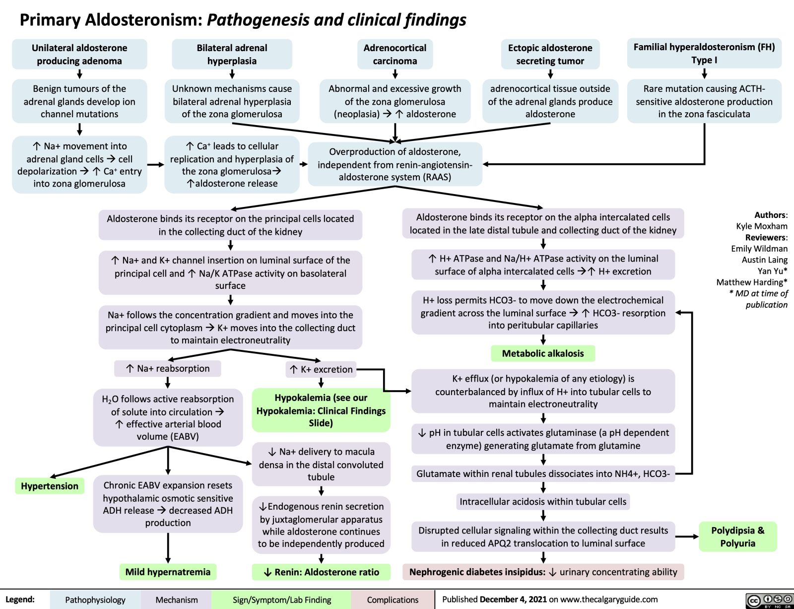 Primary Aldosteronism Pathogenesis Calgary Guide