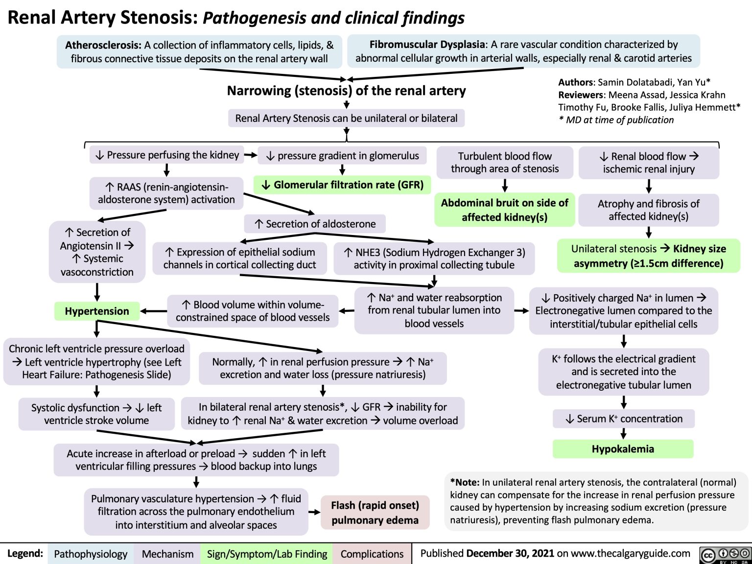 Renal Artery Stenosis: Pathogenesis and clinical findings | Calgary Guide