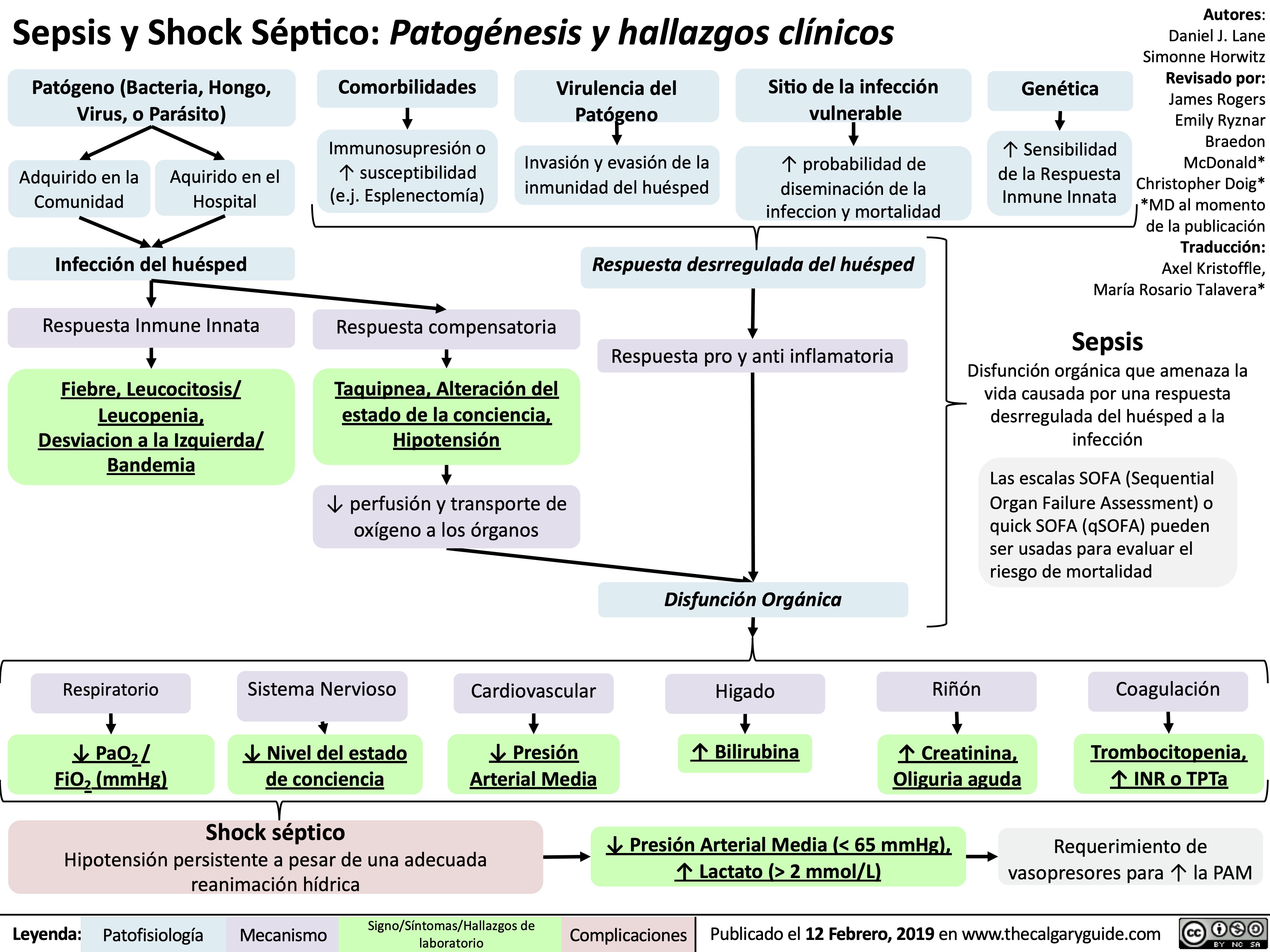 sepsis-y-shock-septico-patogenesis-y-hallazgos-clinicos