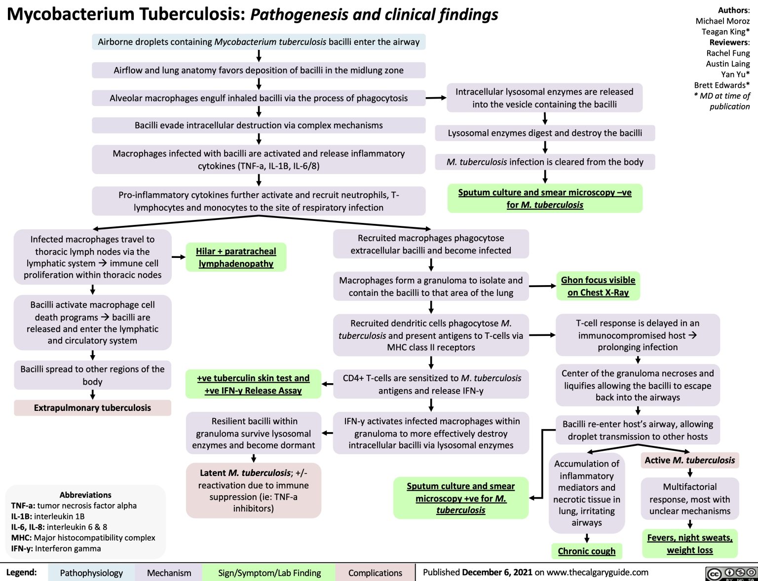 Mycobacterium-Tuberculosis | Calgary Guide