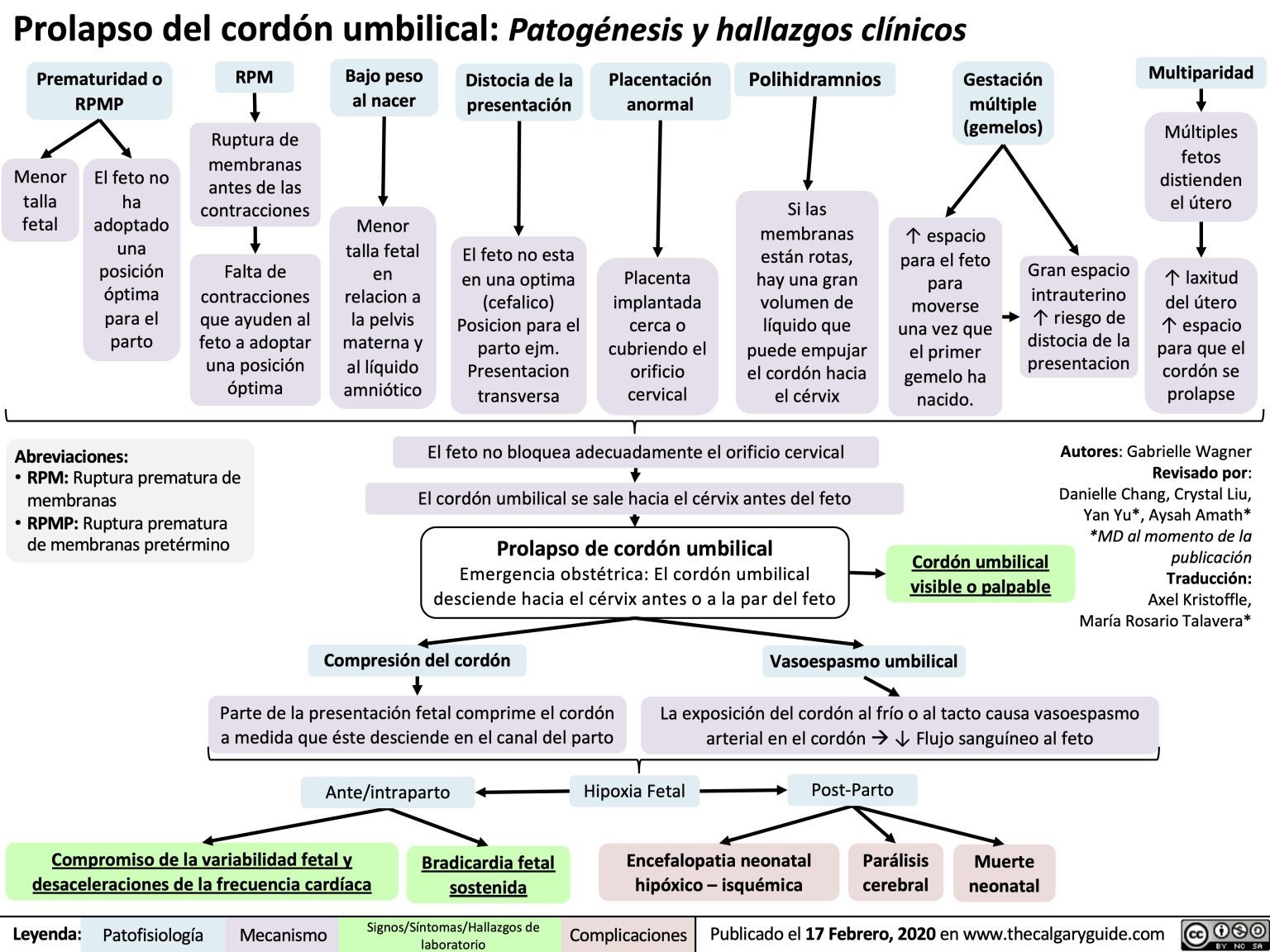 Prolapso del cordón umbilical Patogénesis y hallazgos clínicos