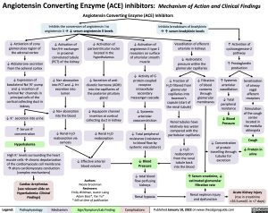 Angiotensin Converting Enzyme (ACE) inhibitors: Mechanism of Action and Clinical Findings