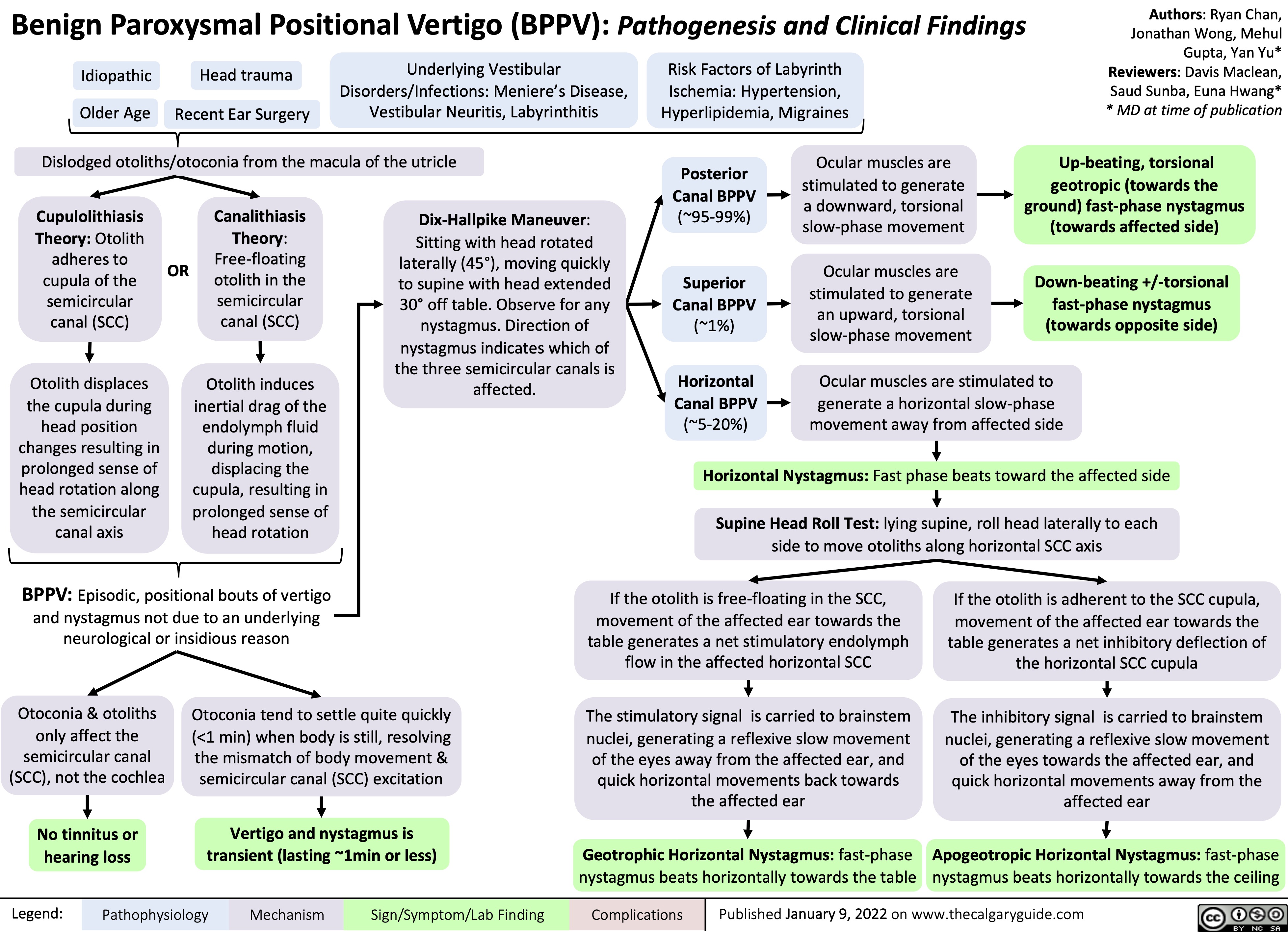Benign Paroxysmal Positional Vertigo (BPPV): Pathogenesis and Clinical Findings
Authors: Ryan Chan, Jonathan Wong, Mehul Gupta, Yan Yu* Reviewers: Davis Maclean, Saud Sunba, Euna Hwang* * MD at time of publication
Up-beating, torsional geotropic (towards the
ground) fast-phase nystagmus (towards affected side)
Down-beating +/-torsional fast-phase nystagmus (towards opposite side)
    Idiopathic Older Age
Head trauma
Recent Ear Surgery
Underlying Vestibular Disorders/Infections: Meniere’s Disease, Vestibular Neuritis, Labyrinthitis
Risk Factors of Labyrinth
Ischemia: Hypertension, Hyperlipidemia, Migraines
      Dislodged otoliths/otoconia from the macula of the utricle
Posterior Canal BPPV (~95-99%)
Superior Canal BPPV (~1%)
Horizontal Canal BPPV (~5-20%)
Ocular muscles are stimulated to generate
a downward, torsional slow-phase movement
Ocular muscles are stimulated to generate
an upward, torsional slow-phase movement
      Cupulolithiasis Theory: Otolith adheres to cupula of the semicircular canal (SCC)
Otolith displaces the cupula during head position changes resulting in prolonged sense of head rotation along the semicircular canal axis
OR
Canalithiasis Theory: Free-floating otolith in the semicircular canal (SCC)
Otolith induces inertial drag of the endolymph fluid during motion, displacing the cupula, resulting in prolonged sense of head rotation
Dix-Hallpike Maneuver: Sitting with head rotated laterally (45°), moving quickly to supine with head extended 30° off table. Observe for any nystagmus. Direction of nystagmus indicates which of the three semicircular canals is affected.
        Ocular muscles are stimulated to generate a horizontal slow-phase movement away from affected side
 Horizontal Nystagmus: Fast phase beats toward the affected side Supine Head Roll Test: lying supine, roll head laterally to each
side to move otoliths along horizontal SCC axis
     BPPV: Episodic, positional bouts of vertigo and nystagmus not due to an underlying neurological or insidious reason
If the otolith is free-floating in the SCC, movement of the affected ear towards the table generates a net stimulatory endolymph flow in the affected horizontal SCC
The stimulatory signal is carried to brainstem nuclei, generating a reflexive slow movement
of the eyes away from the affected ear, and quick horizontal movements back towards the affected ear
Geotrophic Horizontal Nystagmus: fast-phase nystagmus beats horizontally towards the table
If the otolith is adherent to the SCC cupula,
movement of the affected ear towards the table generates a net inhibitory deflection of the horizontal SCC cupula
The inhibitory signal is carried to brainstem nuclei, generating a reflexive slow movement of the eyes towards the affected ear, and quick horizontal movements away from the affected ear
Apogeotropic Horizontal Nystagmus: fast-phase nystagmus beats horizontally towards the ceiling
      Otoconia & otoliths only affect the
semicircular canal (SCC), not the cochlea
No tinnitus or hearing loss
Otoconia tend to settle quite quickly (<1 min) when body is still, resolving the mismatch of body movement & semicircular canal (SCC) excitation
Vertigo and nystagmus is transient (lasting ~1min or less)
     Legend:
 Pathophysiology
 Mechanism
 Sign/Symptom/Lab Finding
 Complications
Published January 9, 2022 on www.thecalgaryguide.com
  