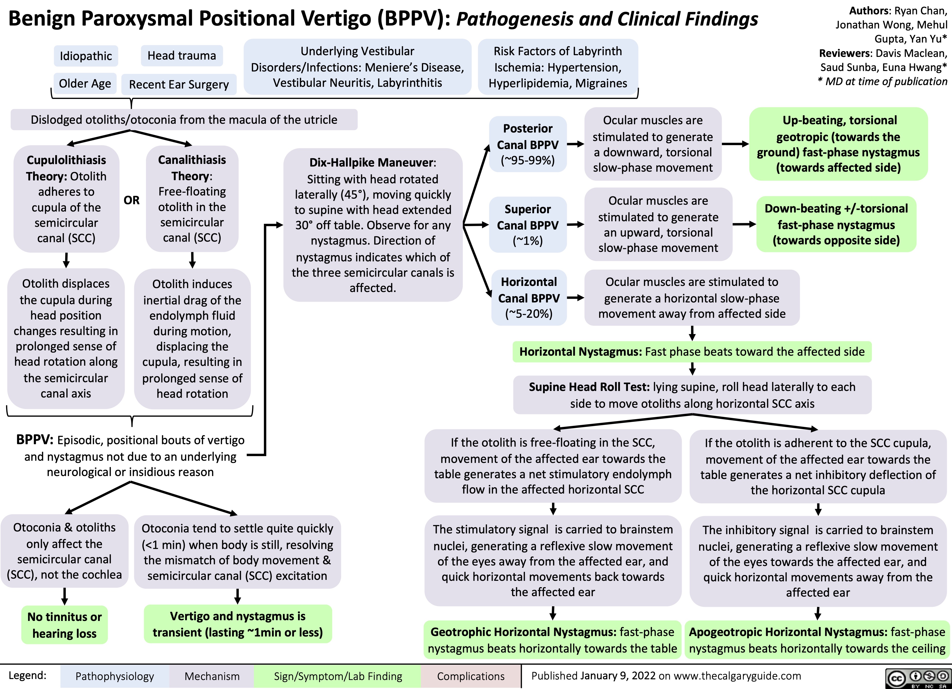 Bppv Calgary Guide