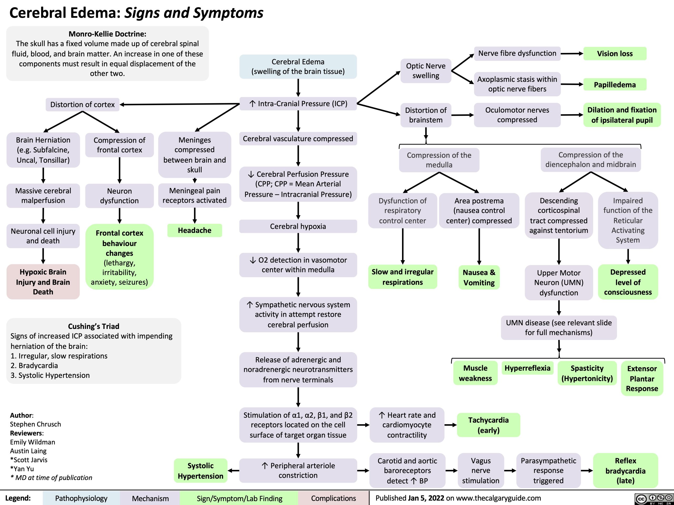 Cerebral Edema: Signs and Symptoms | Calgary Guide