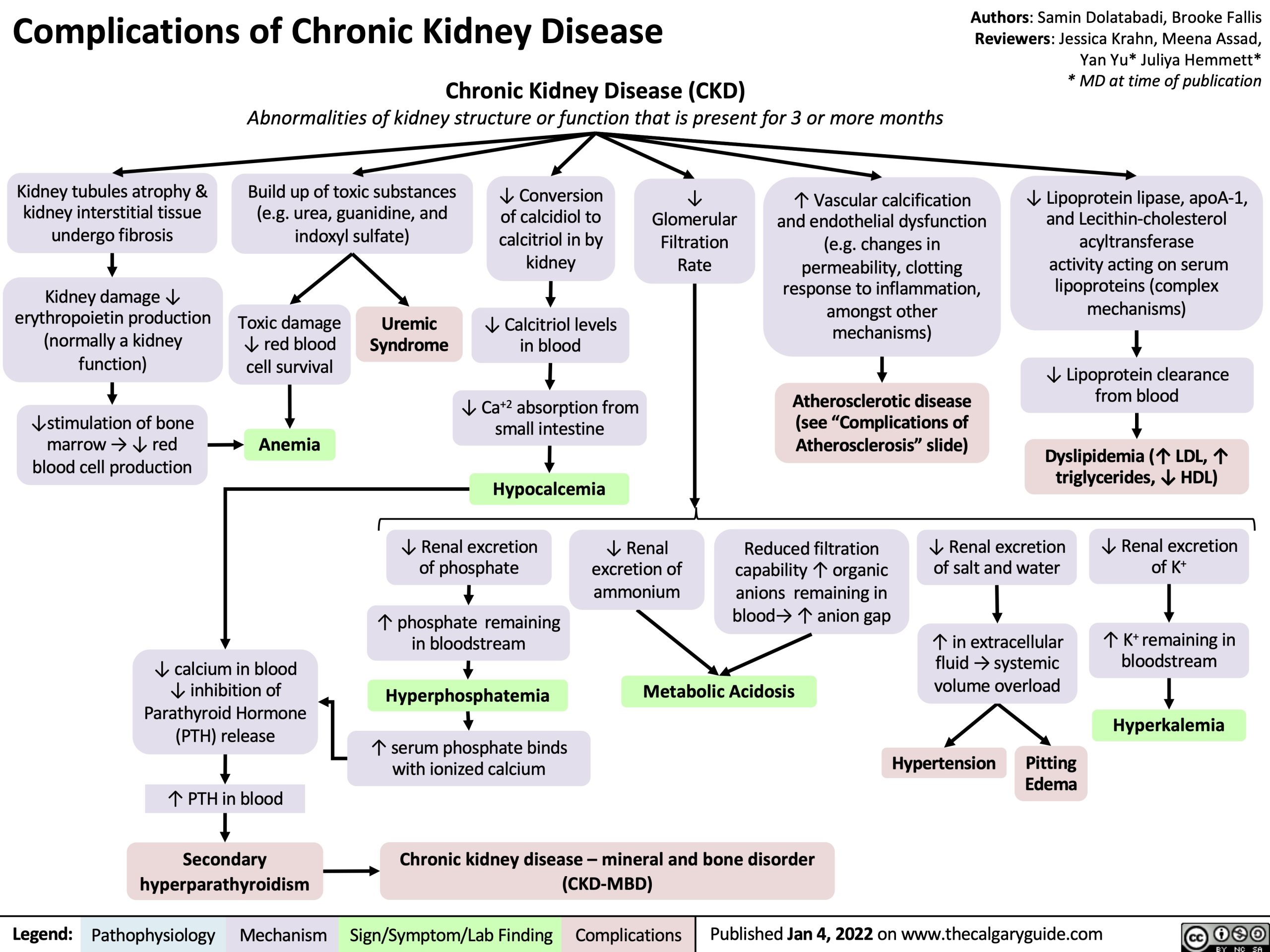 Complications of Chronic Kidney Disease 