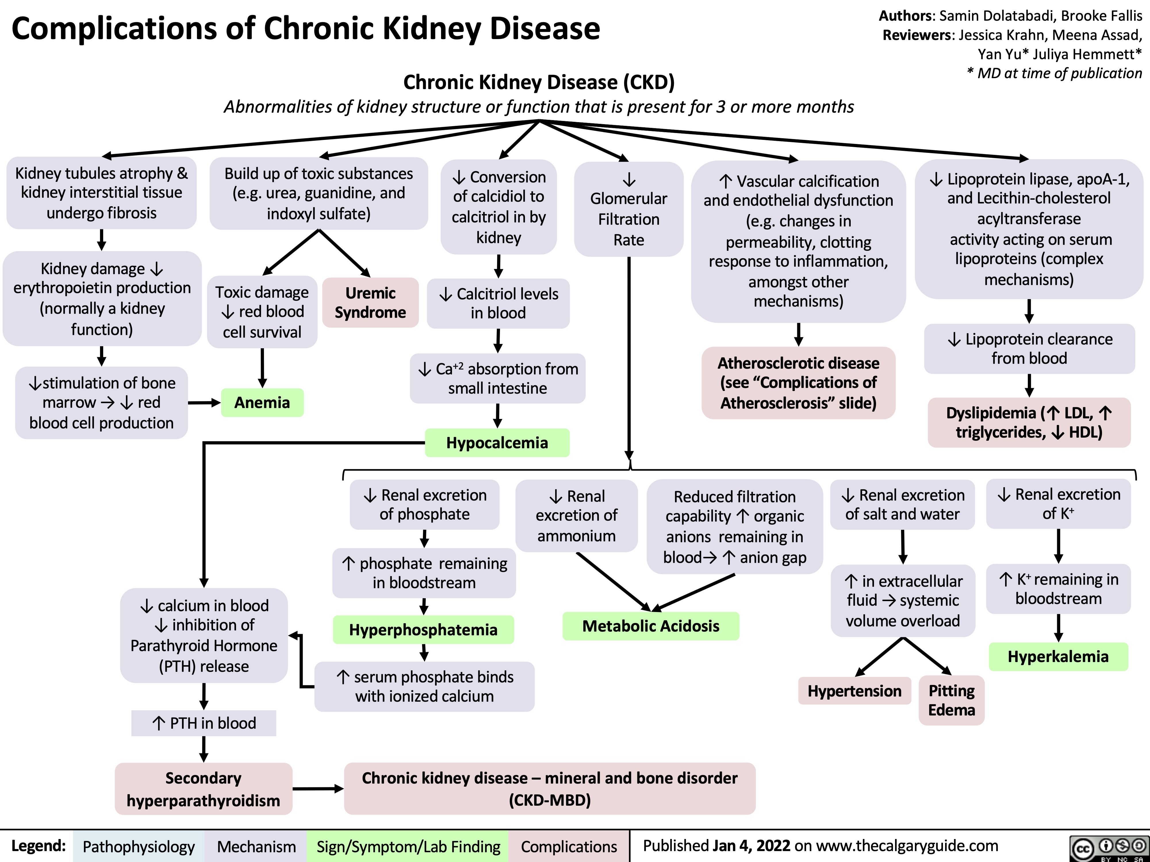 Complications of Chronic Kidney Disease Chronic Kidney Disease (CKD)
Authors: Samin Dolatabadi, Brooke Fallis Reviewers: Jessica Krahn, Meena Assad, Yan Yu* Juliya Hemmett* * MD at time of publication
Abnormalities of kidney structure or function that is present for 3 or more months
          Kidney tubules atrophy & kidney interstitial tissue undergo fibrosis
Kidney damage ↓ erythropoietin production (normally a kidney function)
↓stimulation of bone marrow → ↓ red blood cell production
Build up of toxic substances (e.g. urea, guanidine, and indoxyl sulfate)
↓ Conversion of calcidiol to calcitriol in by kidney
↓ Calcitriol levels in blood
↓ Ca+2 absorption from small intestine
Hypocalcemia
↓ Glomerular Filtration Rate
↑ Vascular calcification and endothelial dysfunction (e.g. changes in permeability, clotting response to inflammation, amongst other mechanisms)
Atherosclerotic disease (see “Complications of Atherosclerosis” slide)
↓ Lipoprotein lipase, apoA-1, and Lecithin-cholesterol acyltransferase
activity acting on serum lipoproteins (complex mechanisms)
↓ Lipoprotein clearance from blood
Dyslipidemia (↑ LDL, ↑ triglycerides, ↓ HDL)
       Toxic damage ↓ red blood cell survival
Anemia
Uremic Syndrome
              ↓ Renal excretion of phosphate
↑ phosphate remaining in bloodstream
Hyperphosphatemia
↑ serum phosphate binds with ionized calcium
↓ Renal excretion of K+
↑ K+ remaining in bloodstream
Hyperkalemia Edema
↓ Renal excretion of ammonium
Reduced filtration capability ↑ organic anions remaining in blood→ ↑ anion gap
↓ Renal excretion of salt and water
↑ in extracellular fluid → systemic volume overload
      ↓ calcium in blood ↓ inhibition of Parathyroid Hormone (PTH) release
↑ PTH in blood
Secondary hyperparathyroidism
Metabolic Acidosis
       Hypertension
Pitting
   Chronic kidney disease – mineral and bone disorder (CKD-MBD)
 Legend:
 Pathophysiology
 Mechanism
Sign/Symptom/Lab Finding
 Complications
Published Jan 4, 2022 on www.thecalgaryguide.com
   