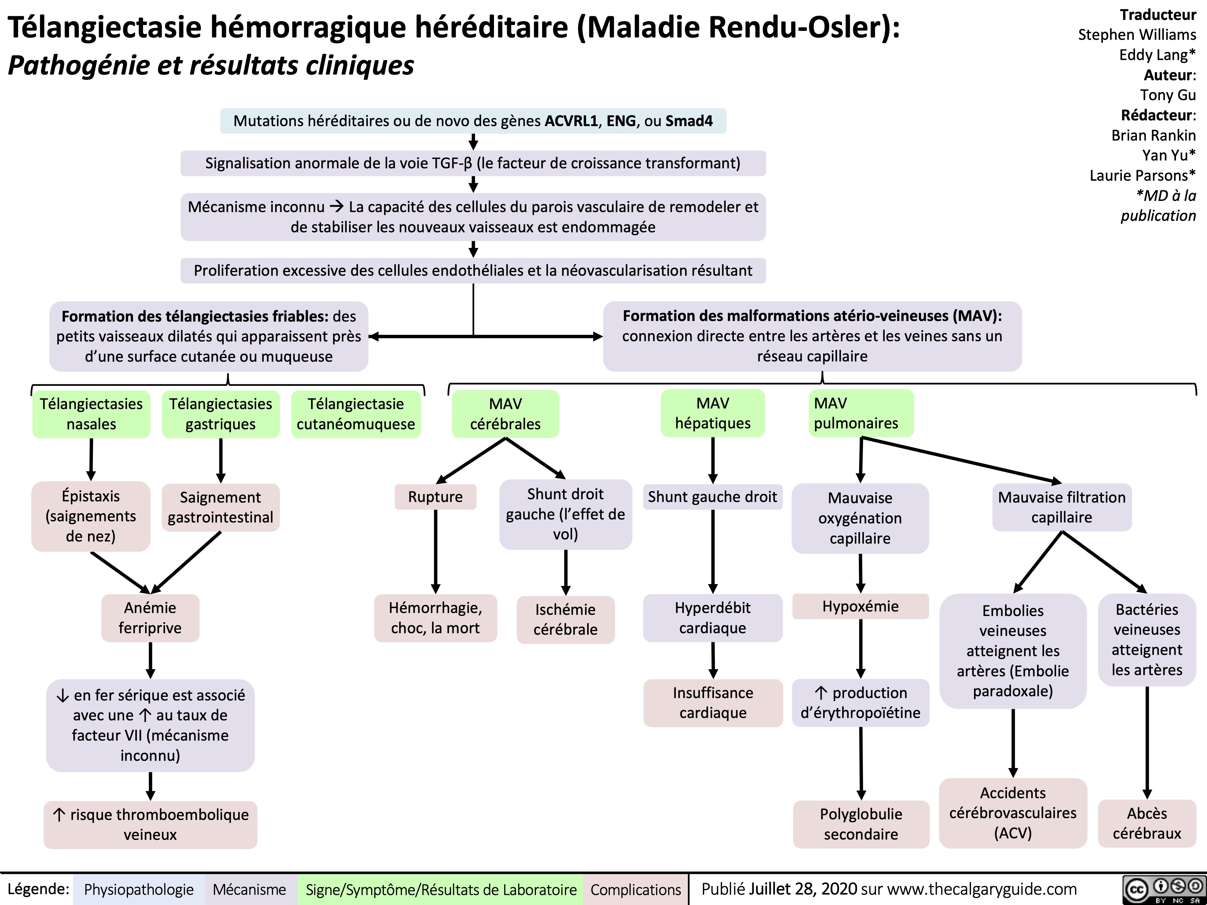 Télangiectasie hémorragique héréditaire (Maladie Rendu-Osler):
Pathogénie et résultats cliniques