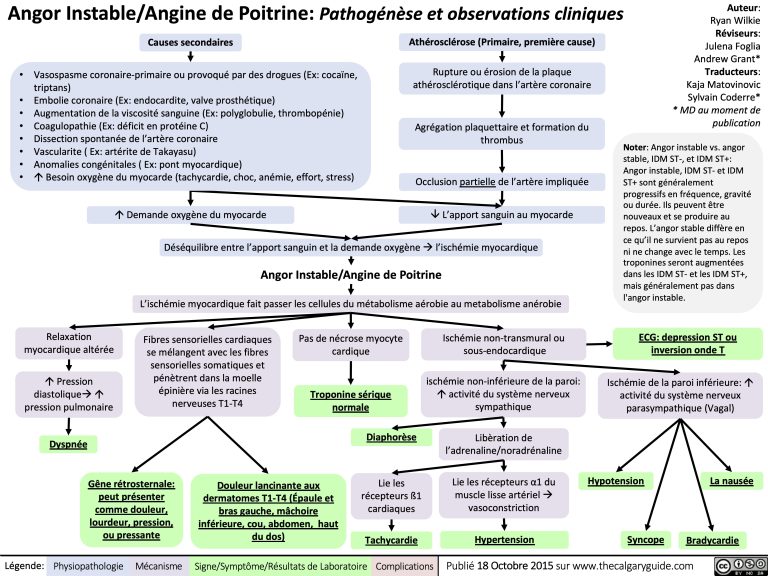 Angor Instable Angine De Poitrine Pathogenese Et Cliniques Unstable Angina 768x576 