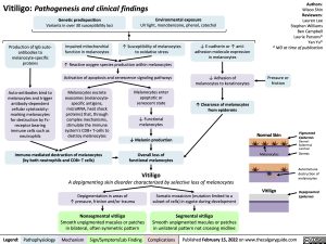 Vitiligo Pathogenesis and Clinical Findings