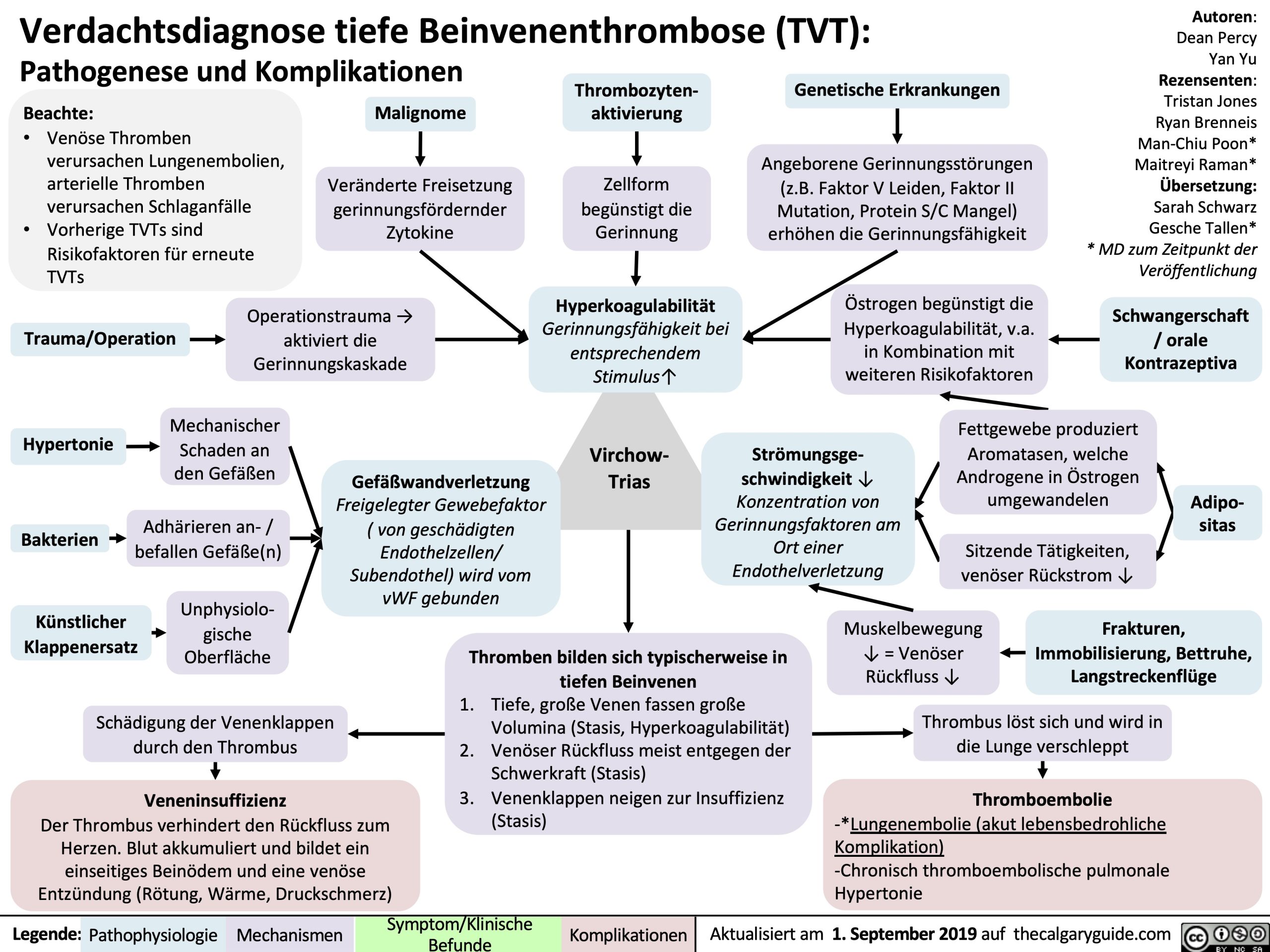 Verdachtsdiagnose tiefe Beinvenenthrombose (TVT): Pathogenese und Komplikationen