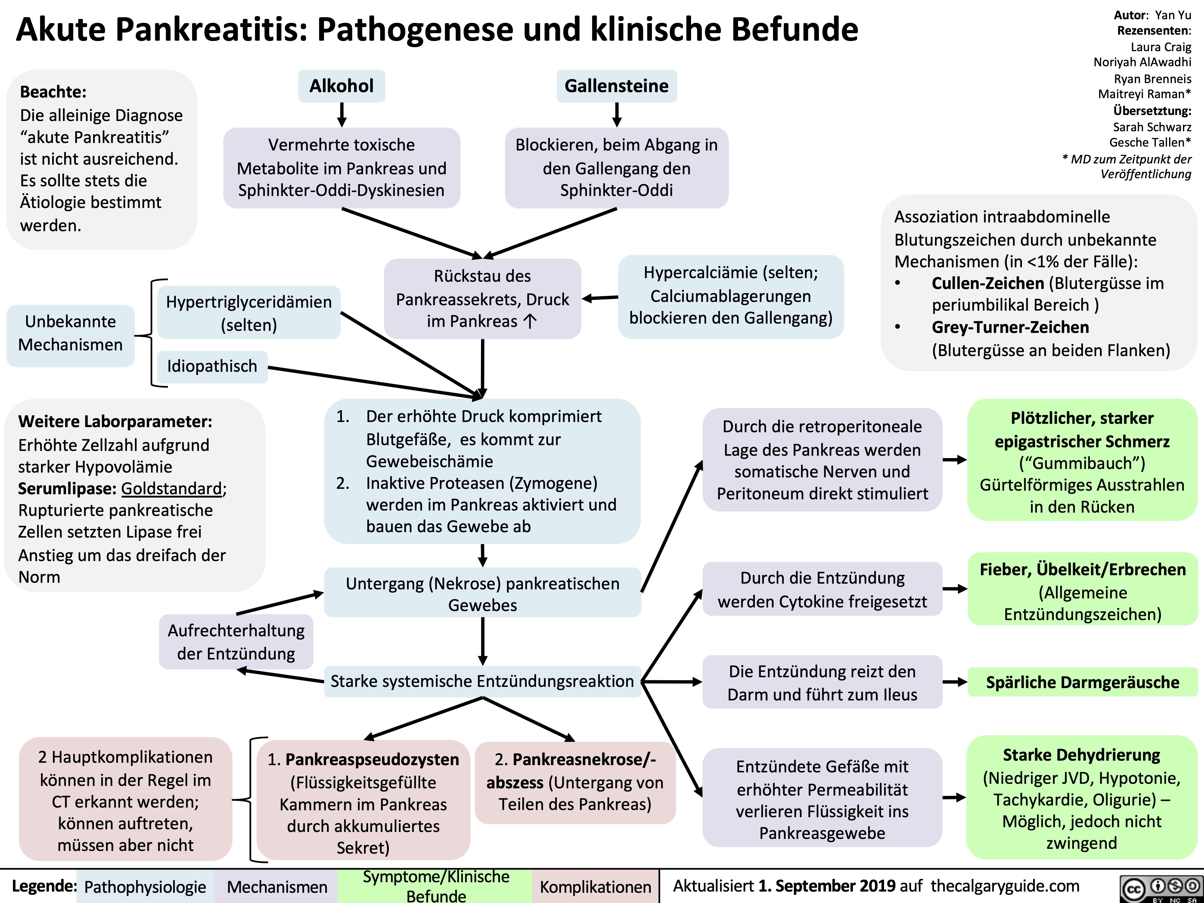 Akute Pankreatitis: Pathogenese und klinische Befunde