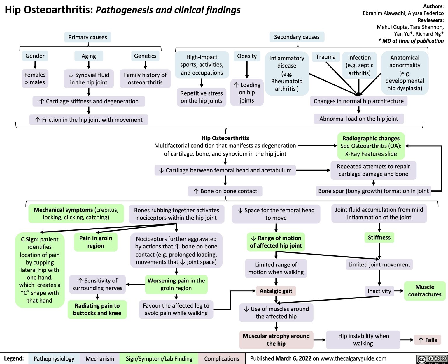 Hip Osteoarthritis: Pathogenesis and clinical findings | Calgary Guide