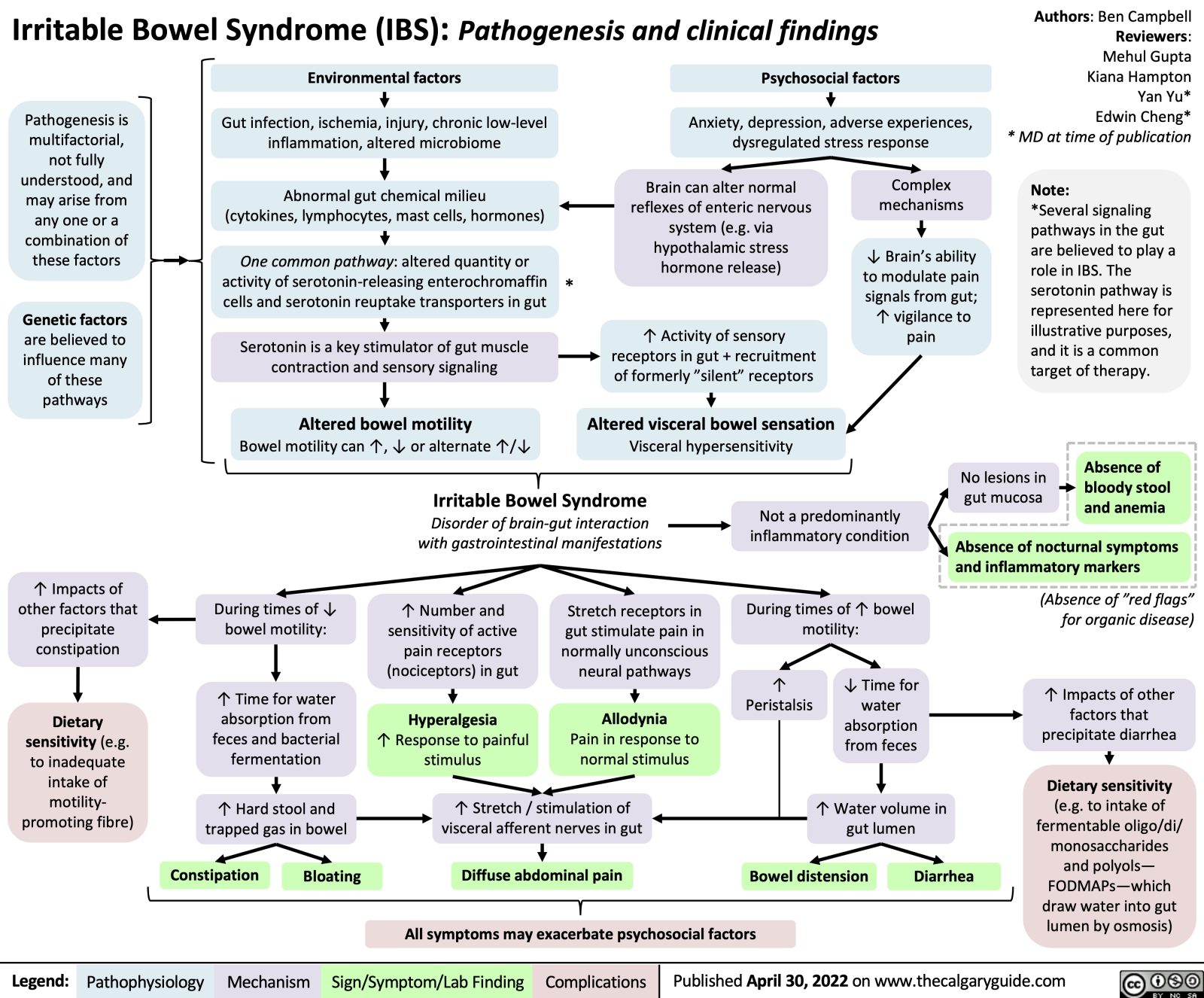 Irritable Bowel Syndrome (IBS): Pathogenesis and clinical findings ...