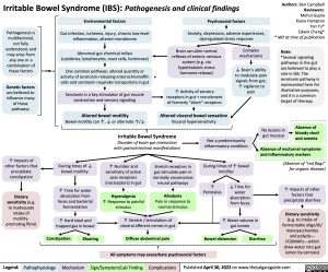 irritable-bowel-syndrome-ibs-pathogenesis-and-clinical-findings