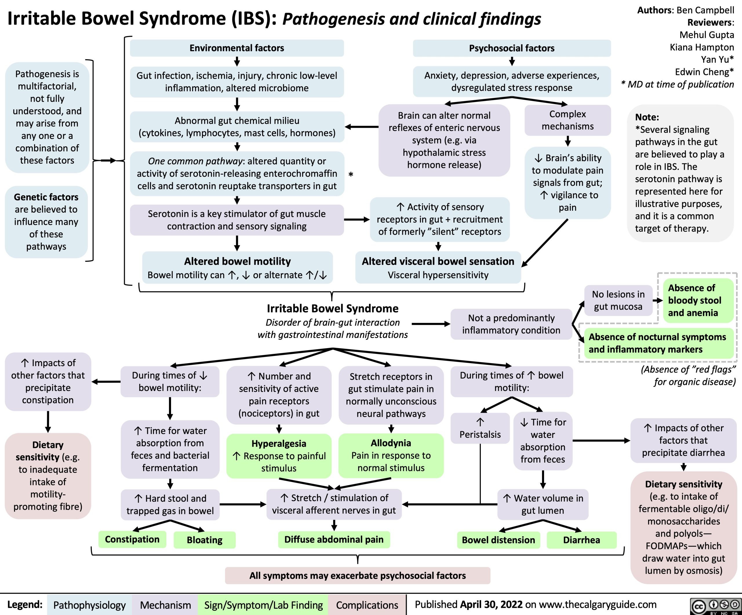 IBS Pathogenesis and Clinical Findings
