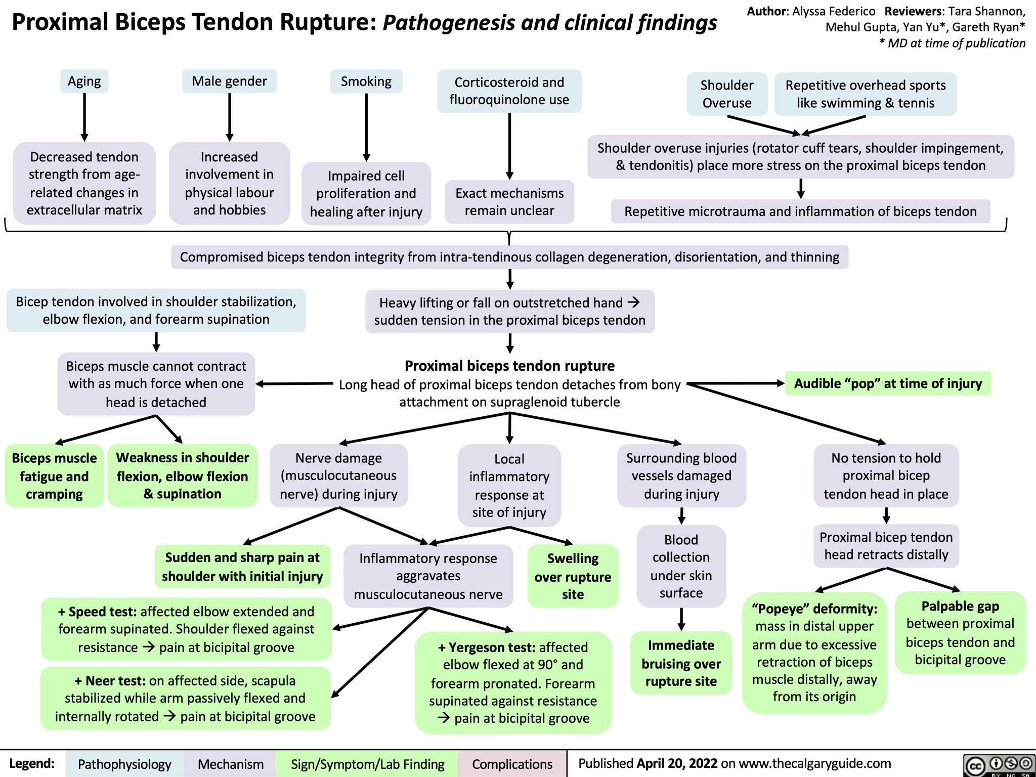 icd 10 code for right shoulder proximal biceps tendon rupture