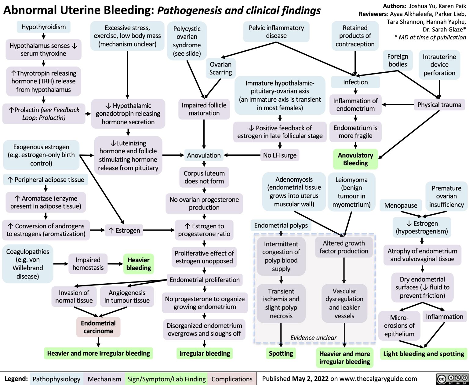 Abnormal Uterine Bleeding (AUB): Pathogenesis and clinical findings ...