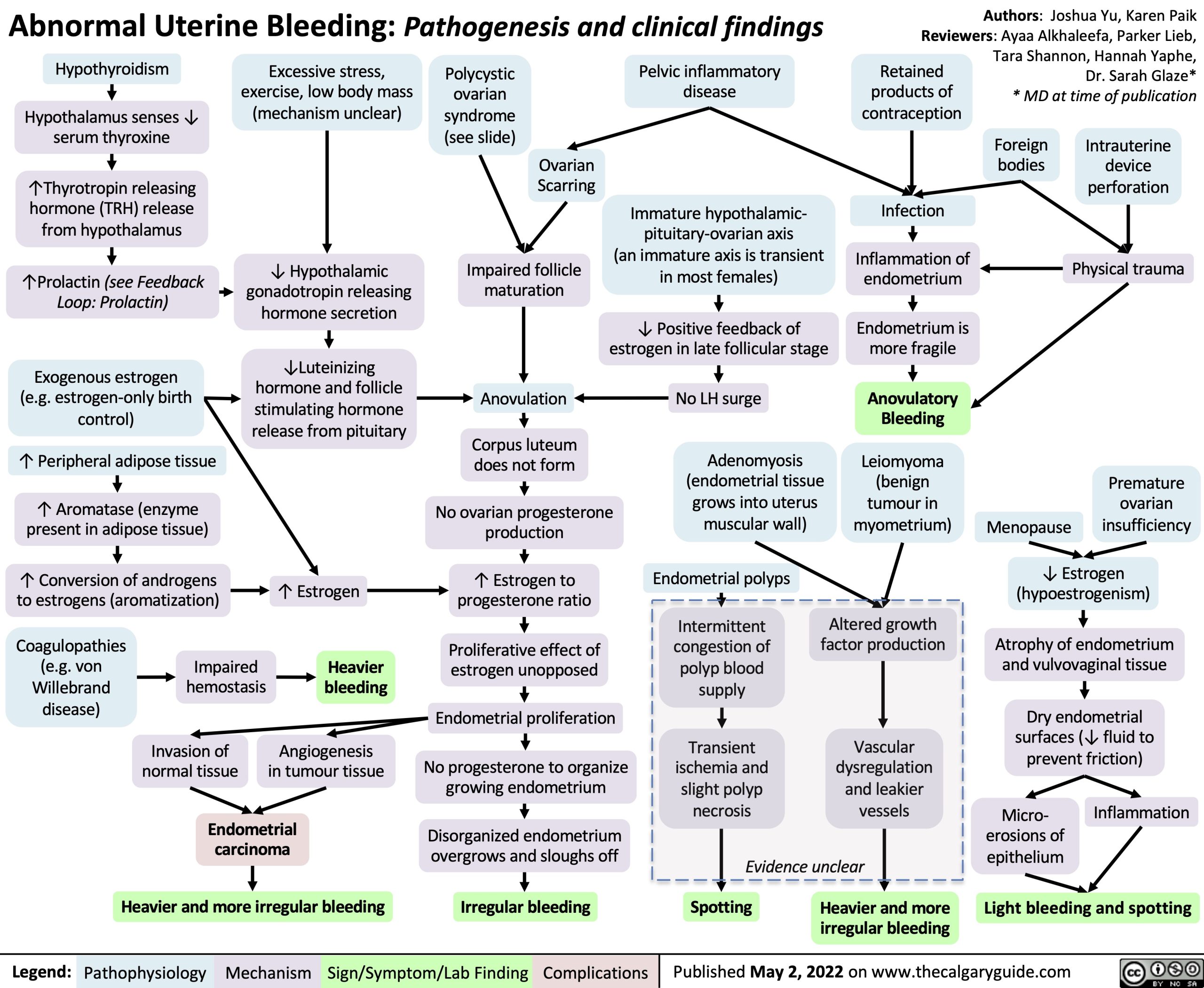 Abnormal Uterine Bleeding Aub Pathogenesis And Clinical Findings Calgary Guide