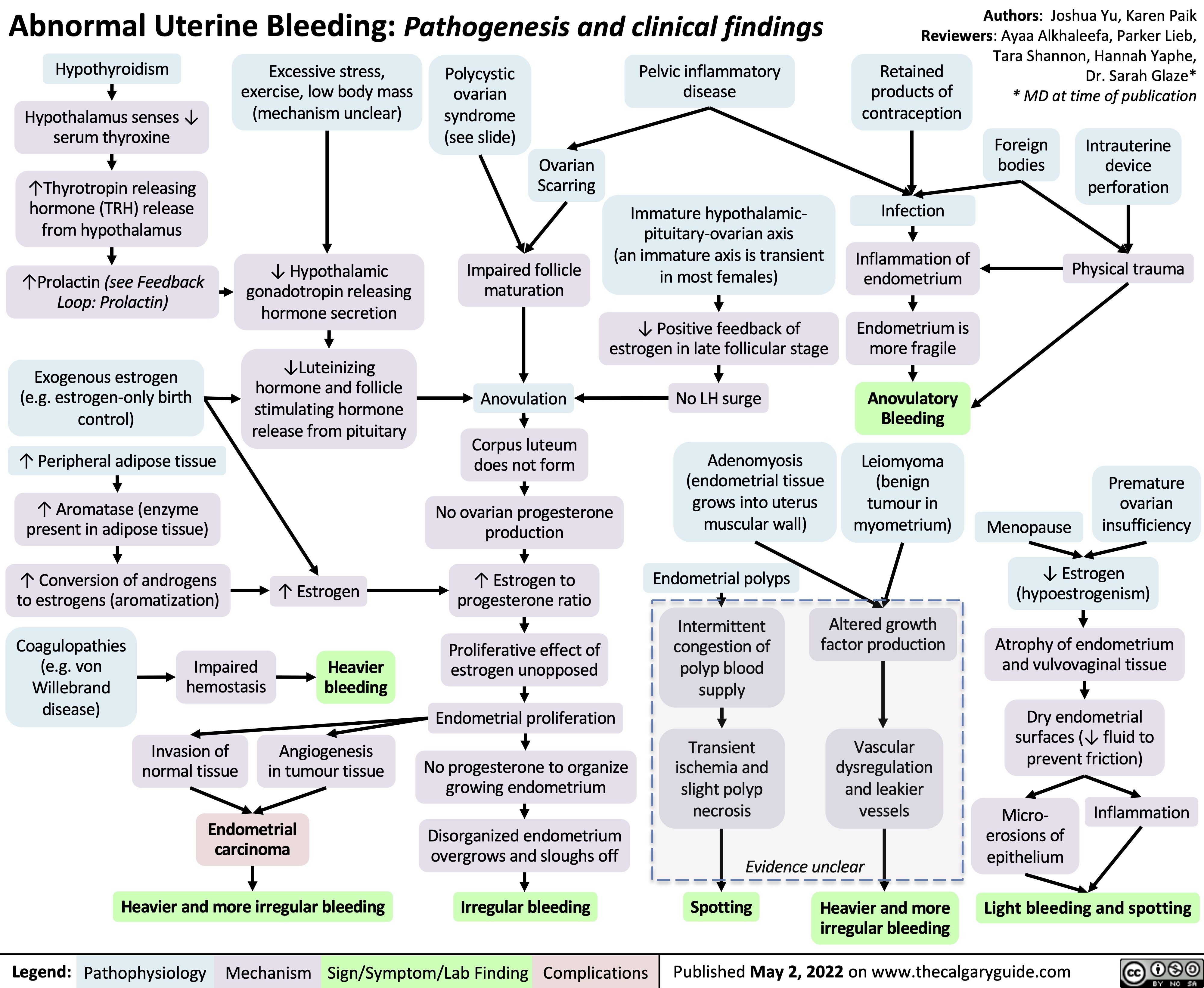 Abnormal Uterine Bleeding: Pathogenesis and clinical findings
Authors: Joshua Yu, Karen Paik Reviewers: Ayaa Alkhaleefa, Parker Lieb,
     Hypothyroidism
Hypothalamus senses ↓ serum thyroxine
↑Thyrotropin releasing hormone (TRH) release from hypothalamus
↑Prolactin (see Feedback Loop: Prolactin)
Exogenous estrogen (e.g. estrogen-only birth control)
↑ Peripheral adipose tissue
↑ Aromatase (enzyme present in adipose tissue)
↑ Conversion of androgens to estrogens (aromatization)
Excessive stress, exercise, low body mass (mechanism unclear)
↓ Hypothalamic gonadotropin releasing hormone secretion
↓Luteinizing hormone and follicle stimulating hormone release from pituitary
↑ Estrogen
Heavier bleeding
Angiogenesis in tumour tissue
Polycystic ovarian syndrome (see slide)
Pelvic inflammatory disease
Immature hypothalamic- pituitary-ovarian axis
(an immature axis is transient in most females)
↓ Positive feedback of estrogen in late follicular stage
No LH surge
Adenomyosis (endometrial tissue grows into uterus muscular wall)
Endometrial polyps
Retained products of contraception
Infection
Inflammation of endometrium
Endometrium is more fragile
Anovulatory Bleeding
Leiomyoma (benign tumour in myometrium)
Tara Shannon, Hannah Yaphe, Dr. Sarah Glaze* * MD at time of publication
       Ovarian Scarring
Foreign bodies
Intrauterine device perforation
Physical trauma
          Impaired follicle maturation
Anovulation
Corpus luteum does not form
No ovarian progesterone production
↑ Estrogen to progesterone ratio
Proliferative effect of estrogen unopposed
Endometrial proliferation
No progesterone to organize growing endometrium
Disorganized endometrium overgrows and sloughs off
Irregular bleeding
Menopause
Premature ovarian insufficiency
                                Intermittent congestion of polyp blood supply
Transient ischemia and slight polyp necrosis
Altered growth factor production
Vascular dysregulation and leakier vessels
   Coagulopathies (e.g. von Willebrand disease)
Impaired hemostasis
Invasion of normal tissue
↓ Estrogen (hypoestrogenism)
Atrophy of endometrium and vulvovaginal tissue
Dry endometrial surfaces (↓ fluid to prevent friction)
                Endometrial carcinoma
Micro- erosions of epithelium
Inflammation
    Evidence unclear
      Heavier and more irregular bleeding
Spotting
Heavier and more irregular bleeding
Light bleeding and spotting
 Legend:
 Pathophysiology
Mechanism
Sign/Symptom/Lab Finding
 Complications
 Published May 2, 2022 on www.thecalgaryguide.com
   