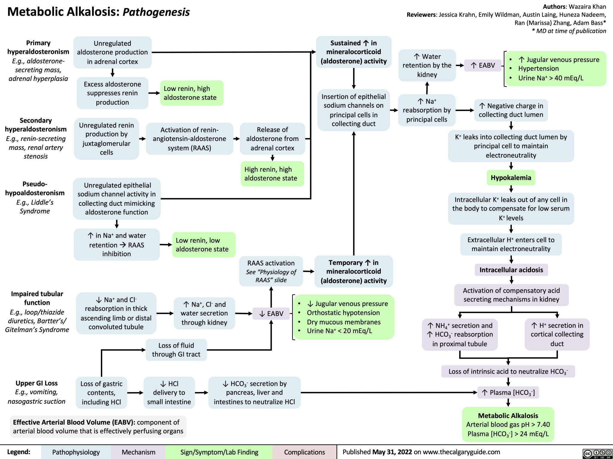 Metabolic Alkalosis: Pathogenesis | Calgary Guide