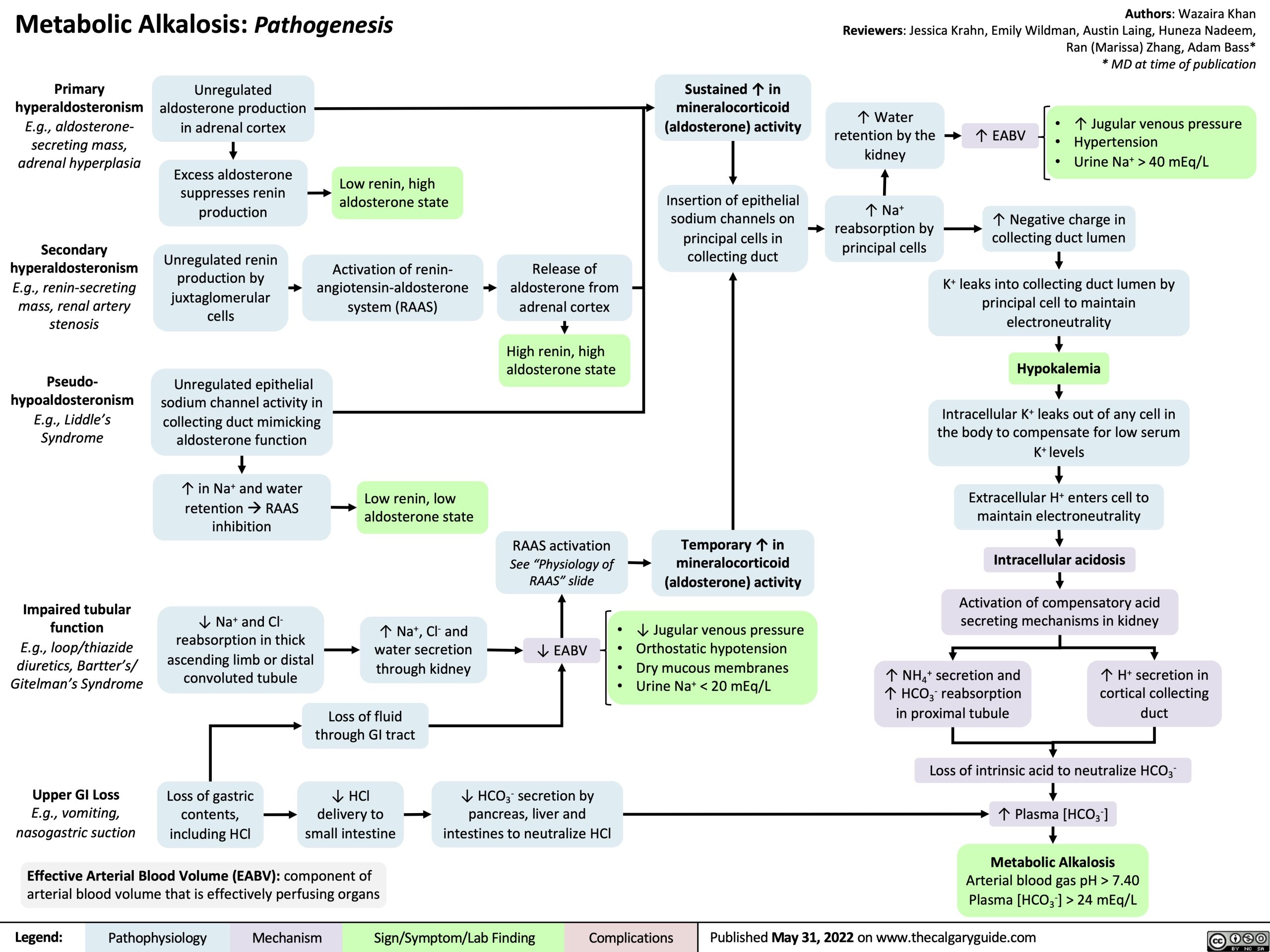 metabolic-alkalosis-pathogenesis