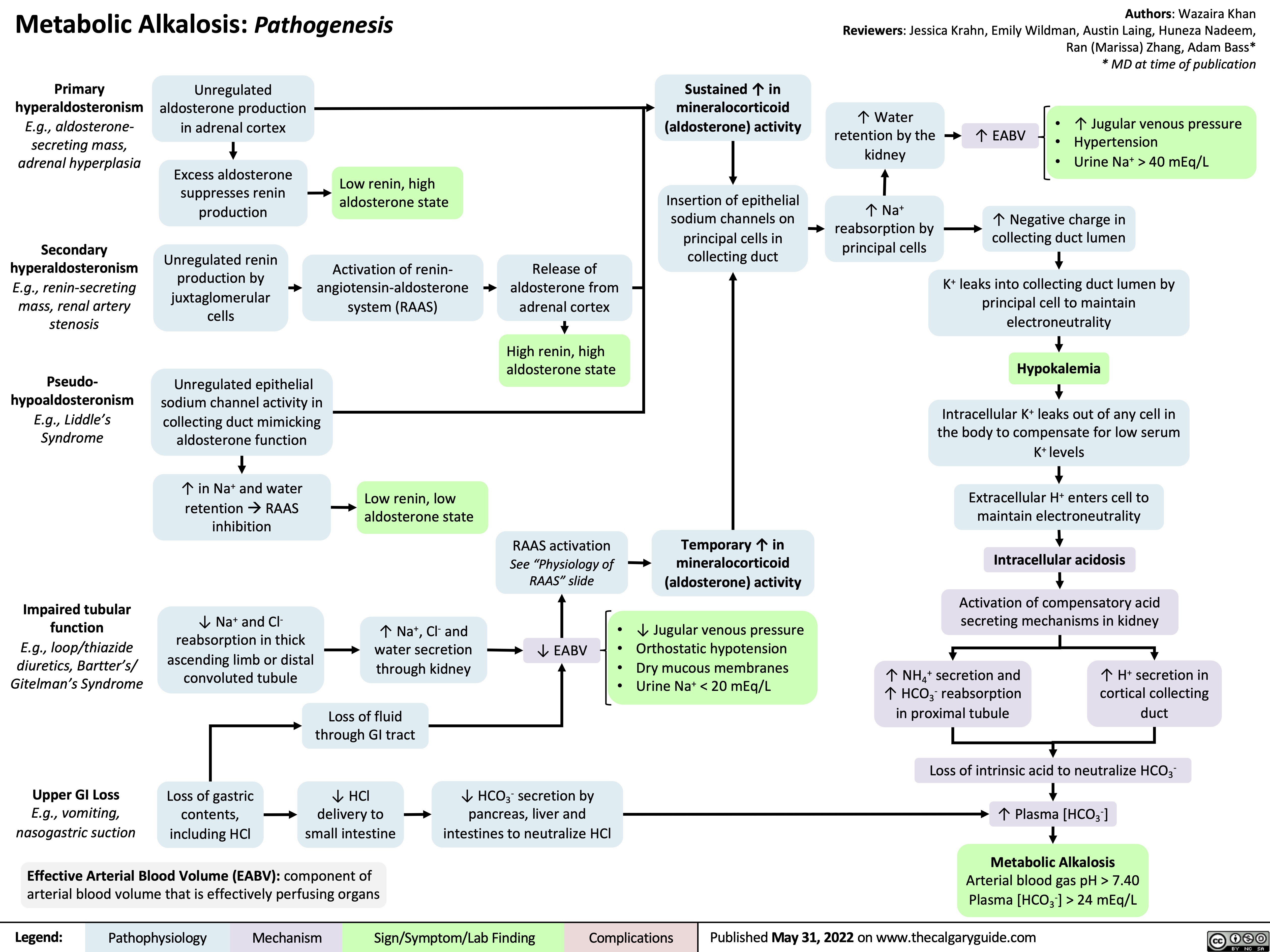 Metabolic Alkalosis: Pathogenesis
Authors: Wazaira Khan Reviewers: Jessica Krahn, Emily Wildman, Austin Laing, Huneza Nadeem, Ran (Marissa) Zhang, Adam Bass* * MD at time of publication
  Primary hyperaldosteronism E.g., aldosterone- secreting mass, adrenal hyperplasia
Secondary hyperaldosteronism E.g., renin-secreting mass, renal artery stenosis
Pseudo- hypoaldosteronism E.g., Liddle’s Syndrome
Unregulated aldosterone production in adrenal cortex
Excess aldosterone suppresses renin production
Unregulated renin production by juxtaglomerular cells
Sustained ↑ in mineralocorticoid (aldosterone) activity
Insertion of epithelial sodium channels on principal cells in collecting duct
↑ Water retention by the kidney
↑ Na+ reabsorption by principal cells
↑ EABV
• ↑ Jugular venous pressure • Hypertension
• Urine Na+ > 40 mEq/L
         Low renin, high aldosterone state
Activation of renin- angiotensin-aldosterone system (RAAS)
Release of aldosterone from adrenal cortex
High renin, high aldosterone state
↑ Negative charge in collecting duct lumen
K+ leaks into collecting duct lumen by principal cell to maintain electroneutrality
Hypokalemia
Intracellular K+ leaks out of any cell in the body to compensate for low serum K+ levels
Extracellular H+ enters cell to maintain electroneutrality
Intracellular acidosis
Activation of compensatory acid secreting mechanisms in kidney
                   Impaired tubular function
E.g., loop/thiazide diuretics, Bartter’s/ Gitelman’s Syndrome
Upper GI Loss
E.g., vomiting, nasogastric suction
Unregulated epithelial sodium channel activity in collecting duct mimicking aldosterone function
↑ in Na+ and water retention à RAAS inhibition
↓ Na+ and Cl- reabsorption in thick ascending limb or distal convoluted tubule
Low renin, low aldosterone state
↑ Na+, Cl- and water secretion through kidney
RAAS activation
See “Physiology of RAAS” slide
↓ EABV • • •
Temporary ↑ in mineralocorticoid (aldosterone) activity
↓ Jugular venous pressure Orthostatic hypotension Dry mucous membranes Urine Na+ < 20 mEq/L
    •
       Loss of fluid through GI tract
↓ HCl delivery to small intestine
↑ NH + secretion and 4
↑ HCO3- reabsorption in proximal tubule
↑ H+ secretion in cortical collecting duct
      Loss of gastric contents, including HCl
↓ HCO3- secretion by pancreas, liver and intestines to neutralize HCl
Loss of intrinsic acid to neutralize HCO3- ↑ Plasma [HCO3-]
Metabolic Alkalosis
Arterial blood gas pH > 7.40 Plasma [HCO3-] > 24 mEq/L
    Effective Arterial Blood Volume (EABV): component of arterial blood volume that is effectively perfusing organs
 Legend:
 Pathophysiology
Mechanism
Sign/Symptom/Lab Finding
 Complications
Published May 31, 2022 on www.thecalgaryguide.com
    