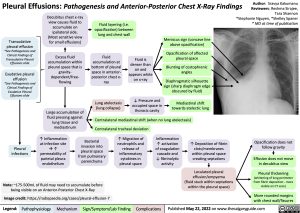 pleural-effusions-pathogenesis-and-anterior-posterior-chest-x-ray-findings
