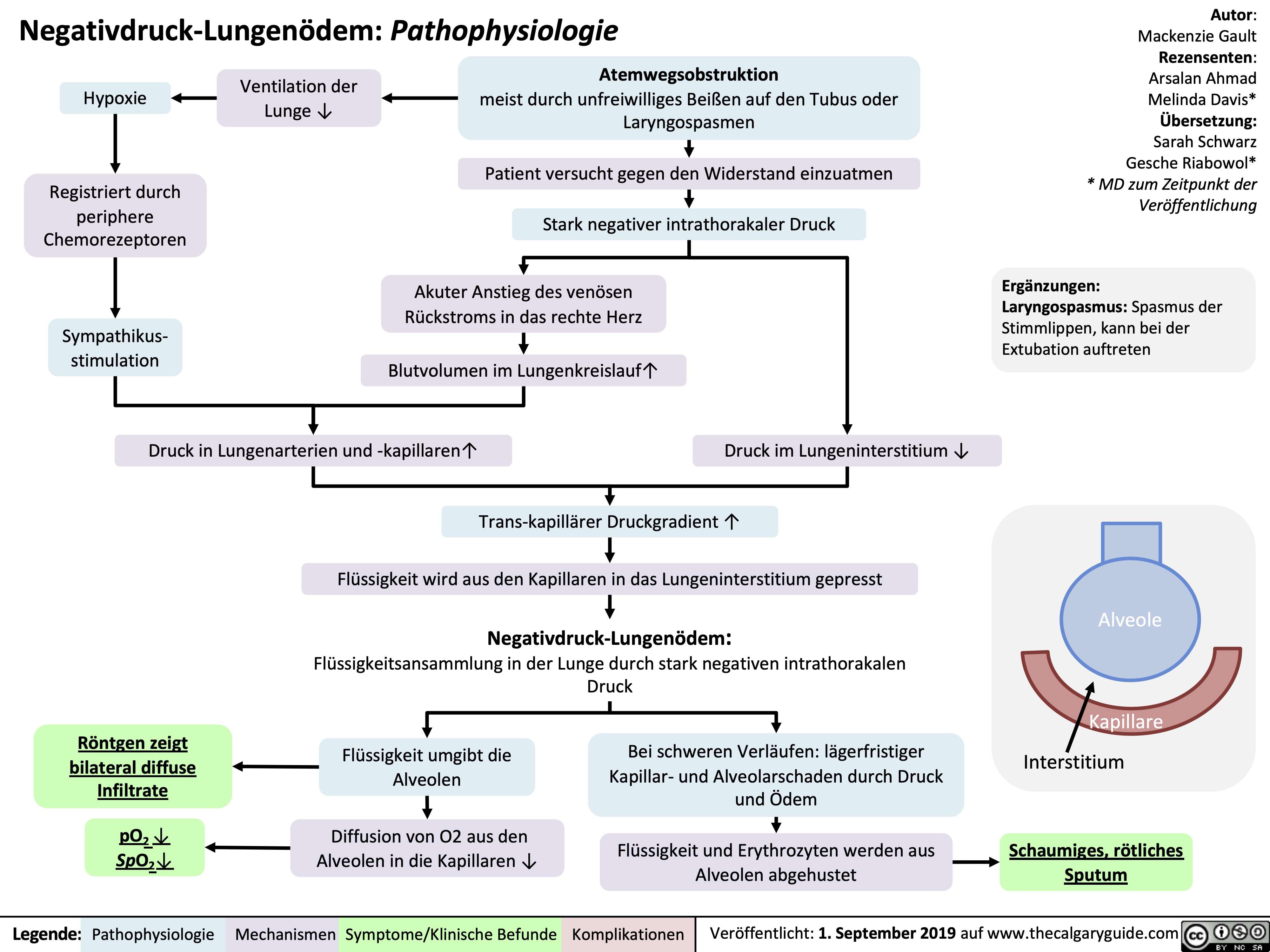 Negativdruck-Lungenödem: Pathophysiologie