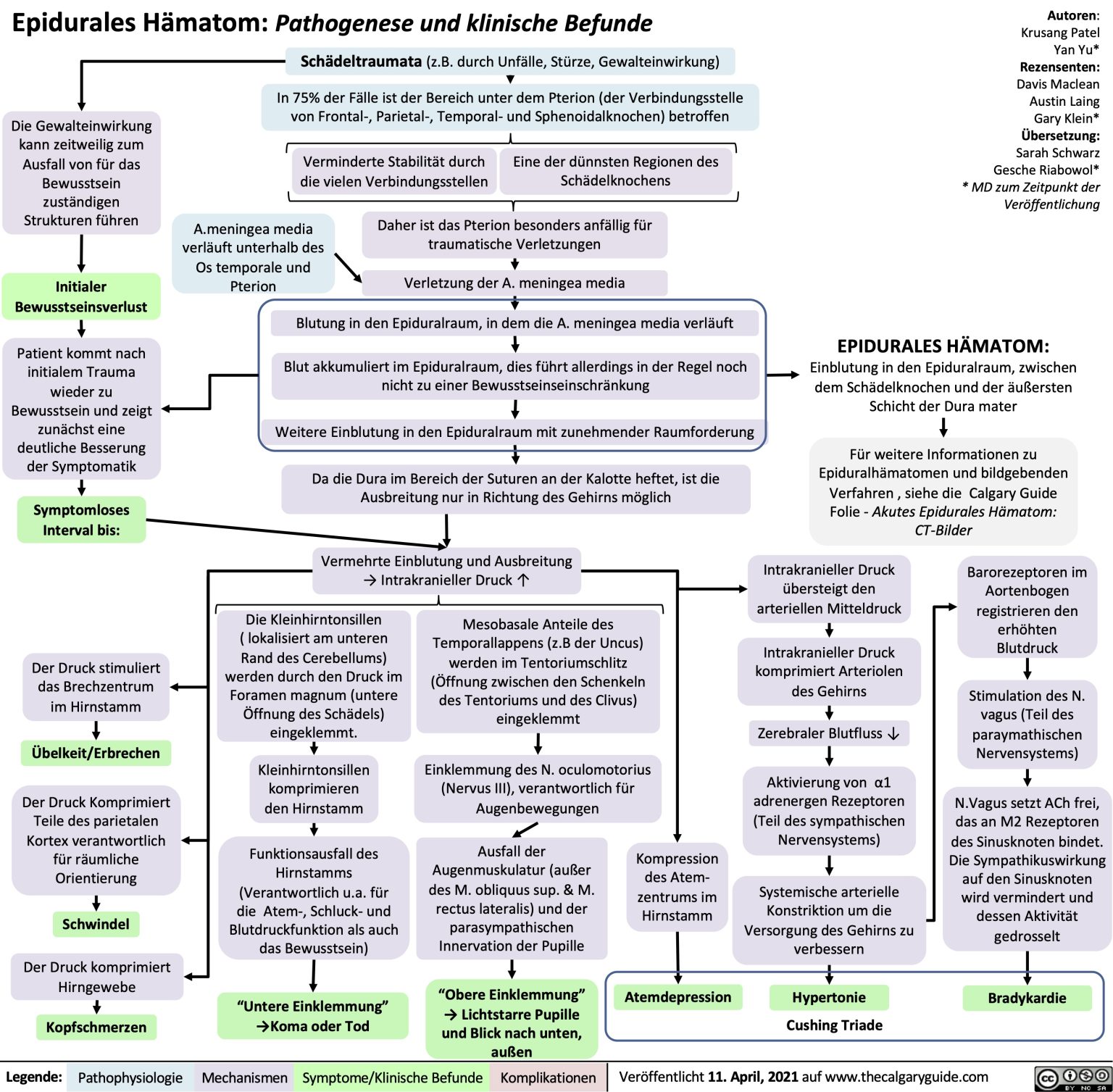 Epidurales Hämatom: Pathogenese und klinische Befunde | Calgary Guide