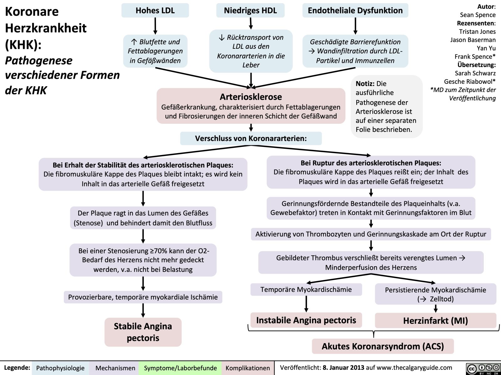 Koronare Herzkrankheit Khk Pathogenese Verschiedener Formen Der Khk Calgary Guide