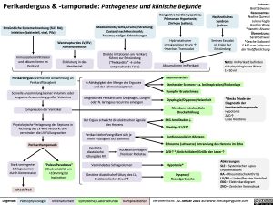 perikarderguss-tamponade-pathogenese-und-klinische-befunde