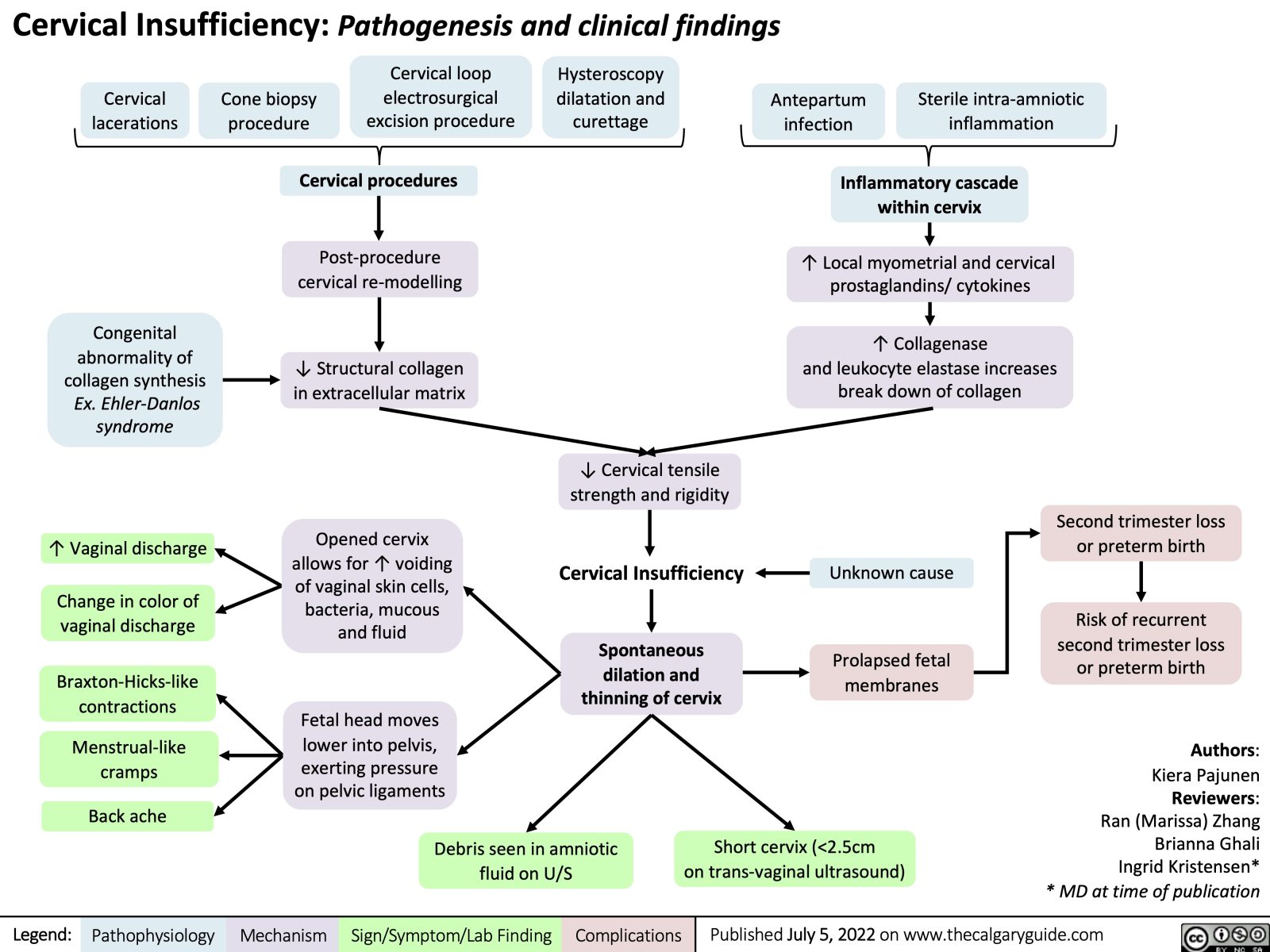 Cervical Insufficiency: Pathogenesis and clinical findings | Calgary Guide