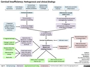 Cervical Insufficiency Pathogenesis and clinical findings