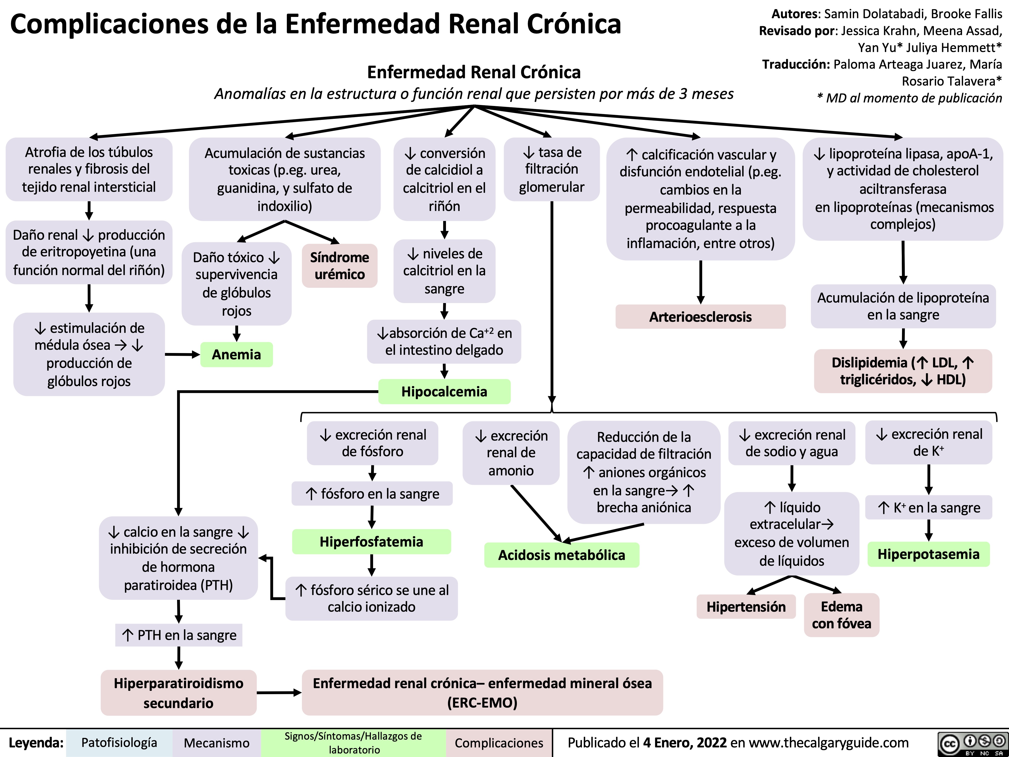 complicaciones-de-la-enfermedad-renal-cronica