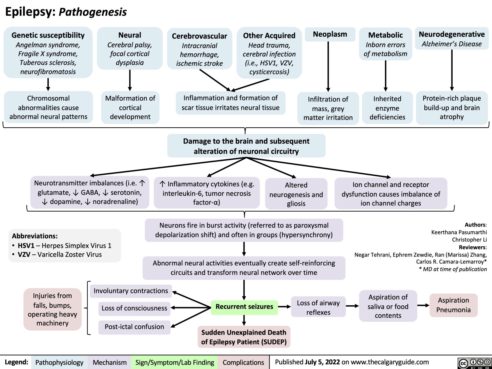 Epilepsy: Pathogenesis | Calgary Guide