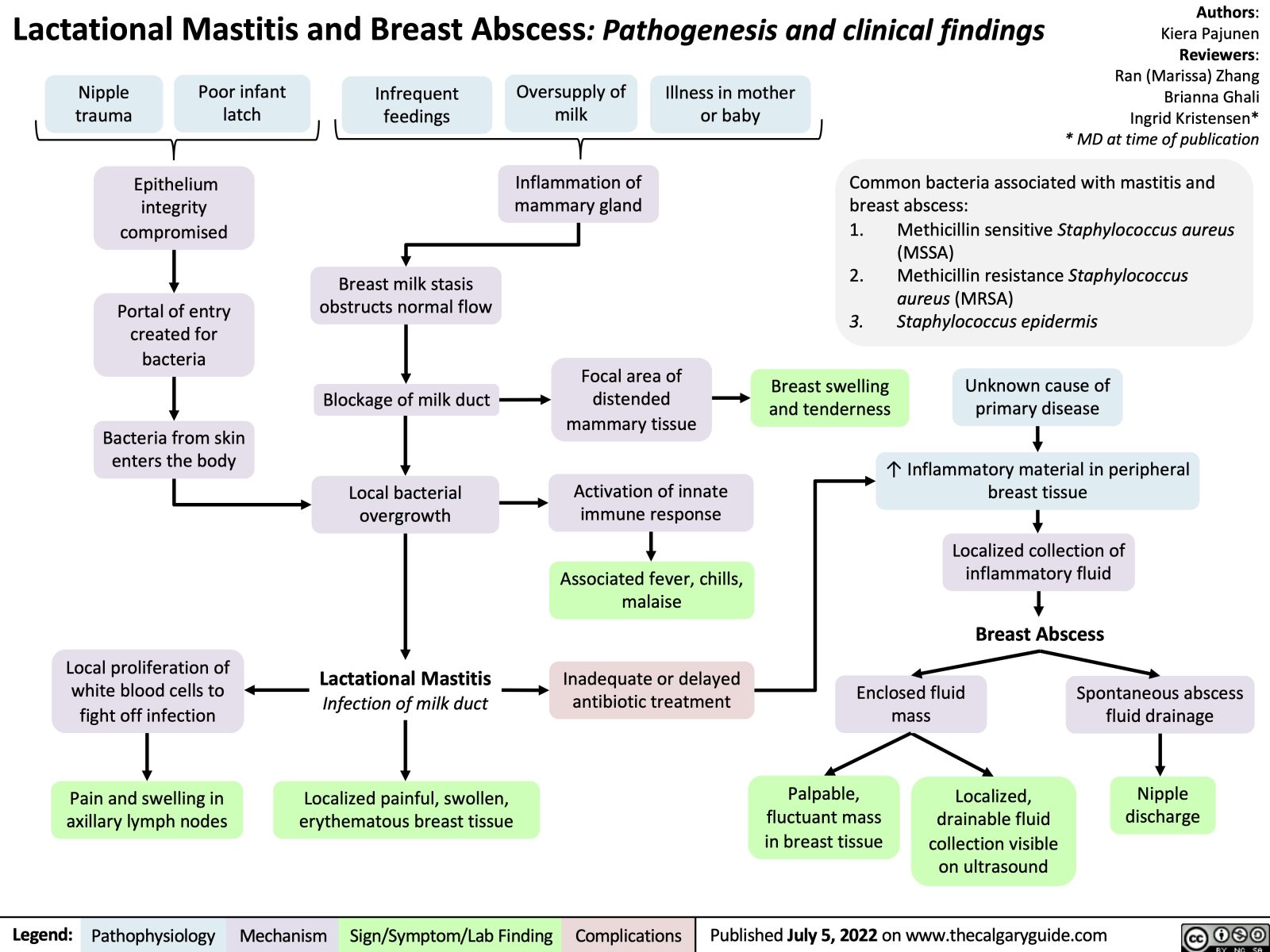 Lactational Mastitis and Breast Abscess: Pathogenesis and clinical ...