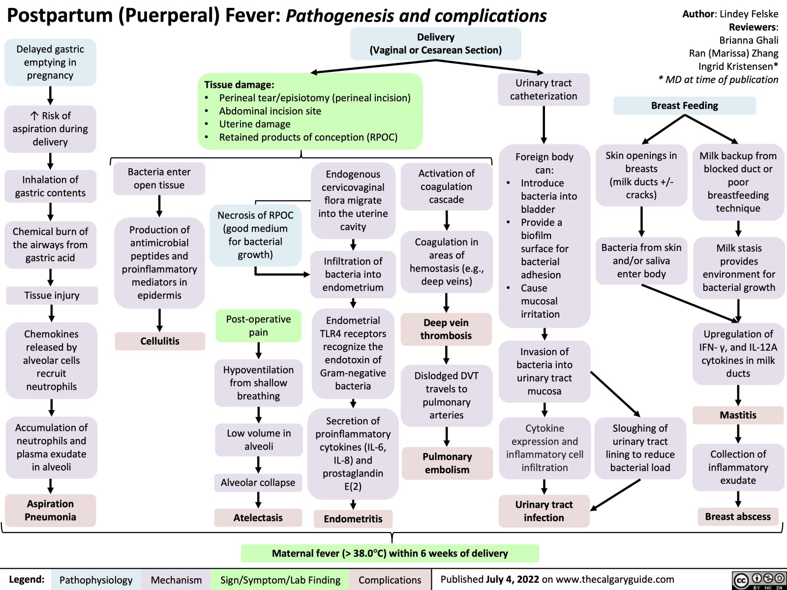 Postpartum (Puerperal) Fever: Pathogenesis and complications | Calgary ...