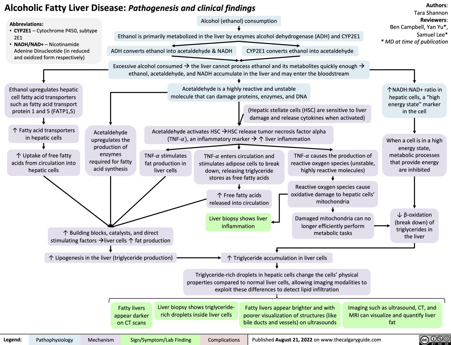 alcoholic-fatty-liver-disease-pathogenesis-and-clinical-findings