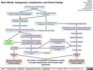 burn-shock-pathogenesis-complications-and-clinical-findings